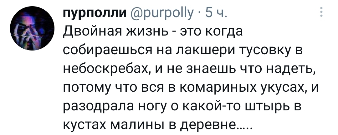 Двойная жизнь - Twitter, Деревня, Отдых, Тусовка, Скриншот