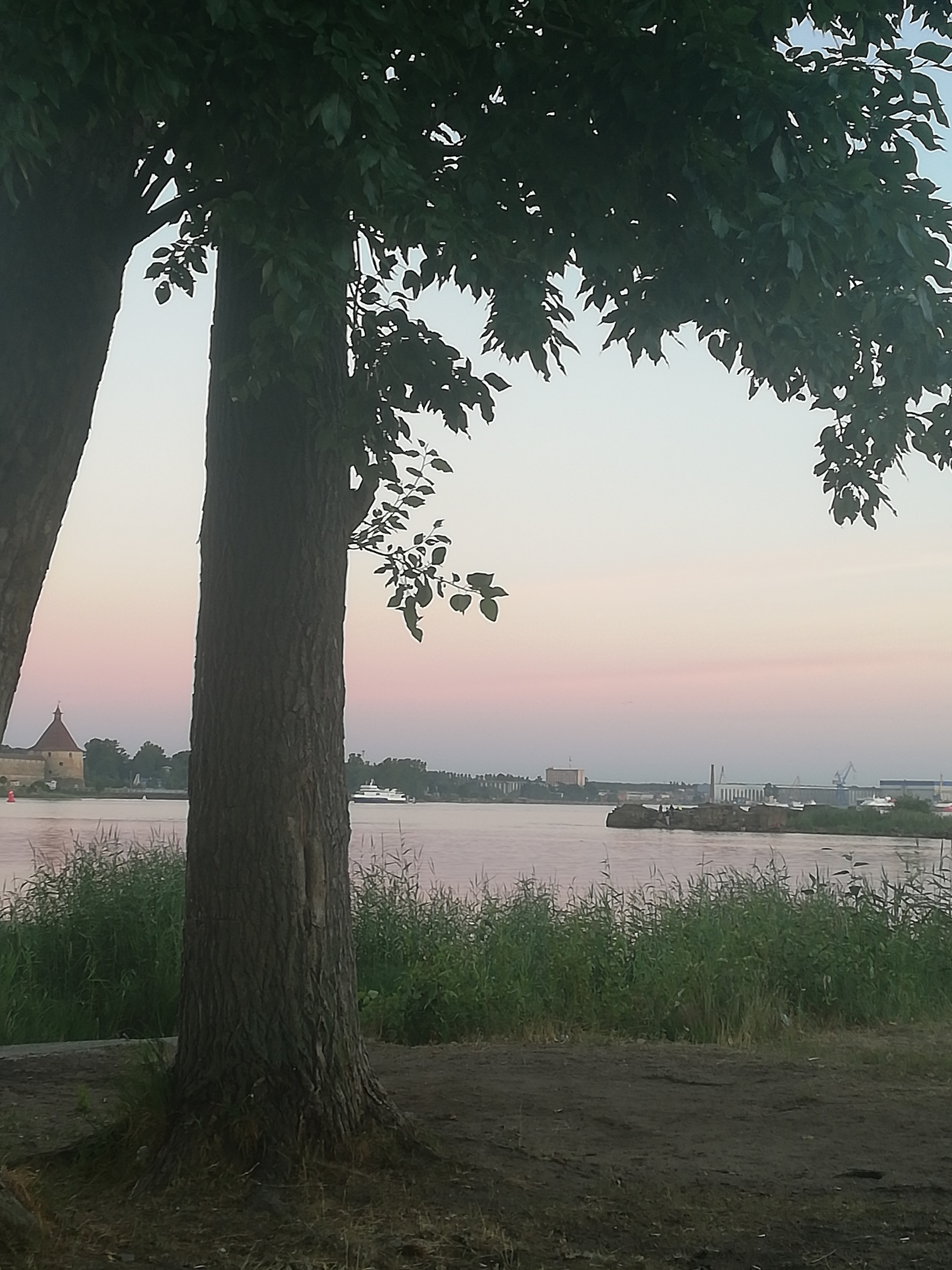 July mouth of Ladoga - Ladoga, Summer, Hedgehog, beauty, Sunset, Steamer, Seagulls, Longpost