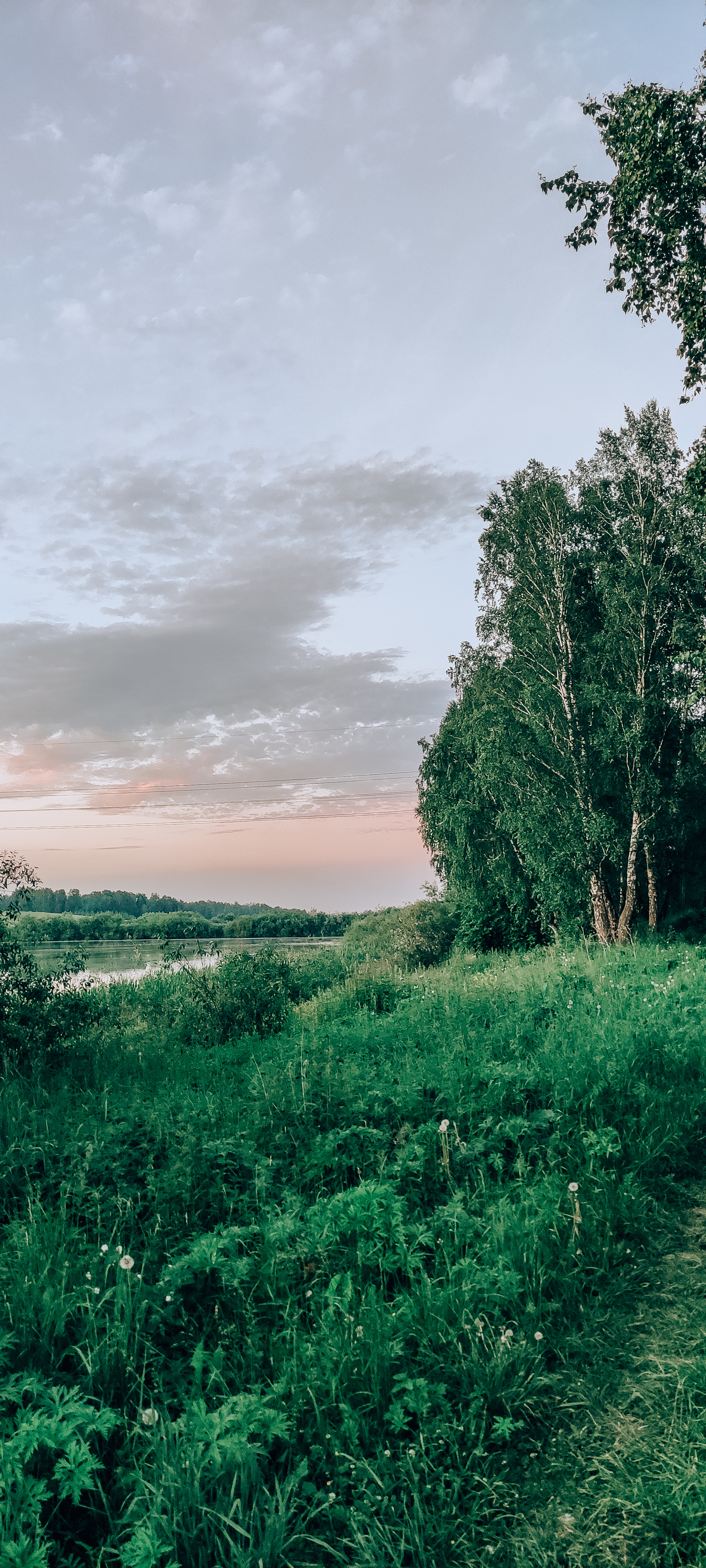 First summer fishing 2021 - My, Fishing, Forest, Krasnoyarsk, Carp, The photo, Summer, Longpost