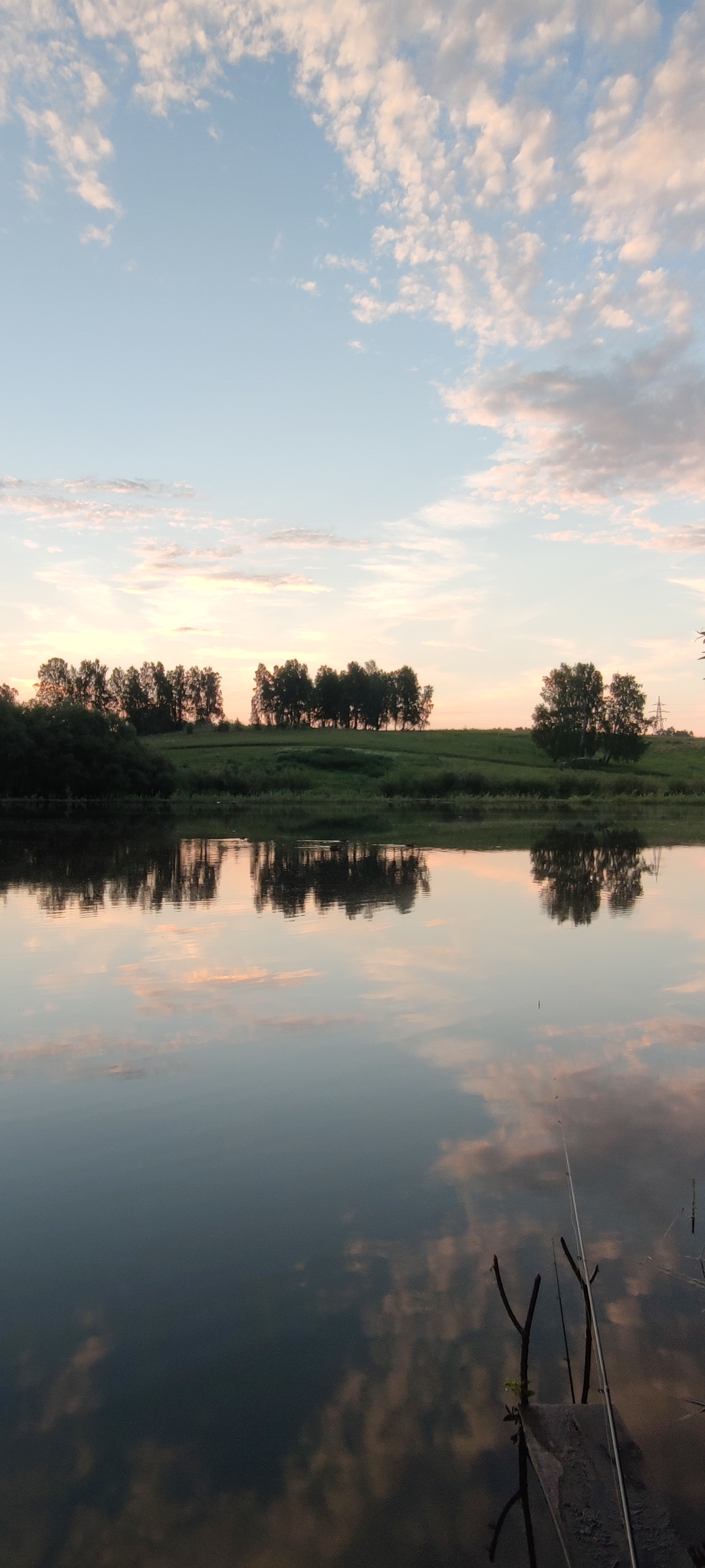 First summer fishing 2021 - My, Fishing, Forest, Krasnoyarsk, Carp, The photo, Summer, Longpost