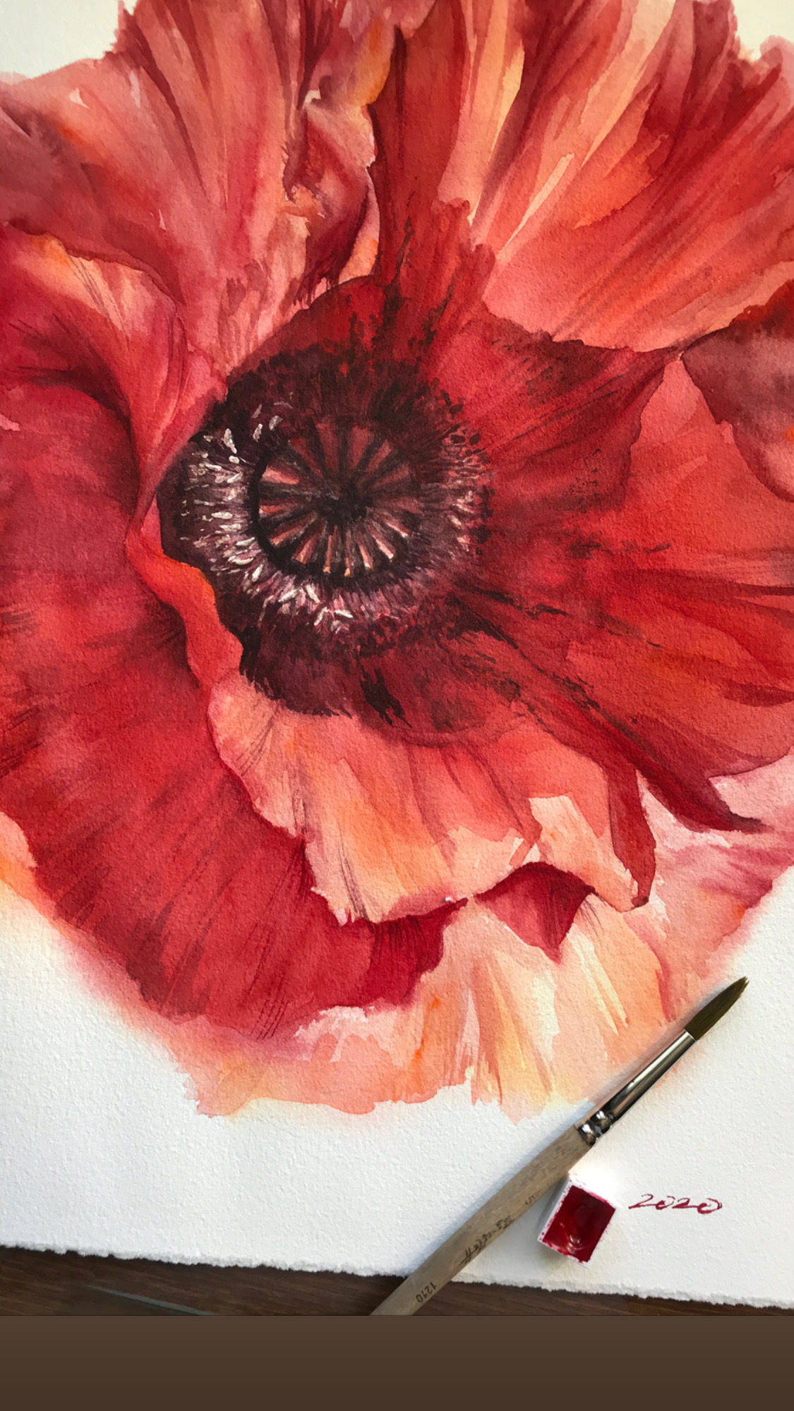Poppy - My, Watercolor, Painting, Flowers, Artist