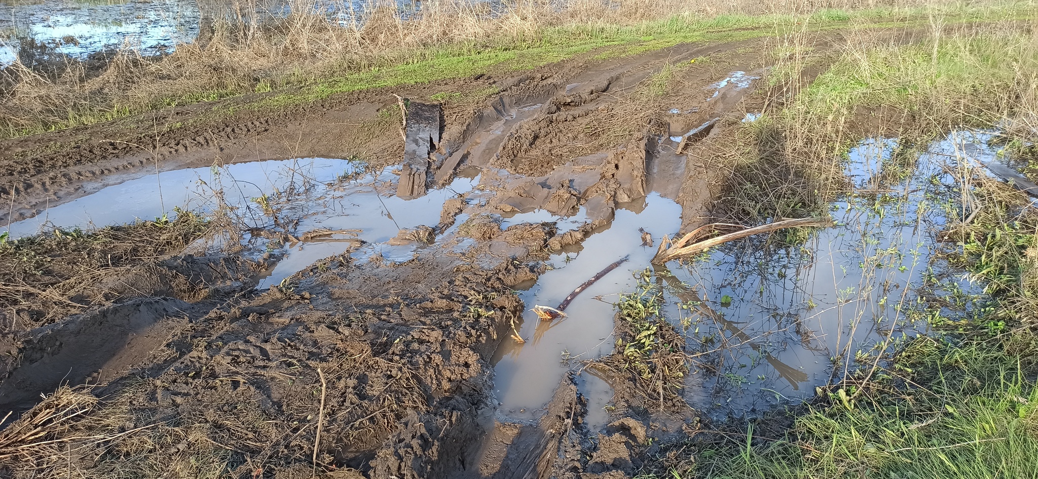 The first post is the most important - My, Stuck, All-terrain vehicle, Nature, Samara, Four-wheel drive, Motorists, Camping, Longpost