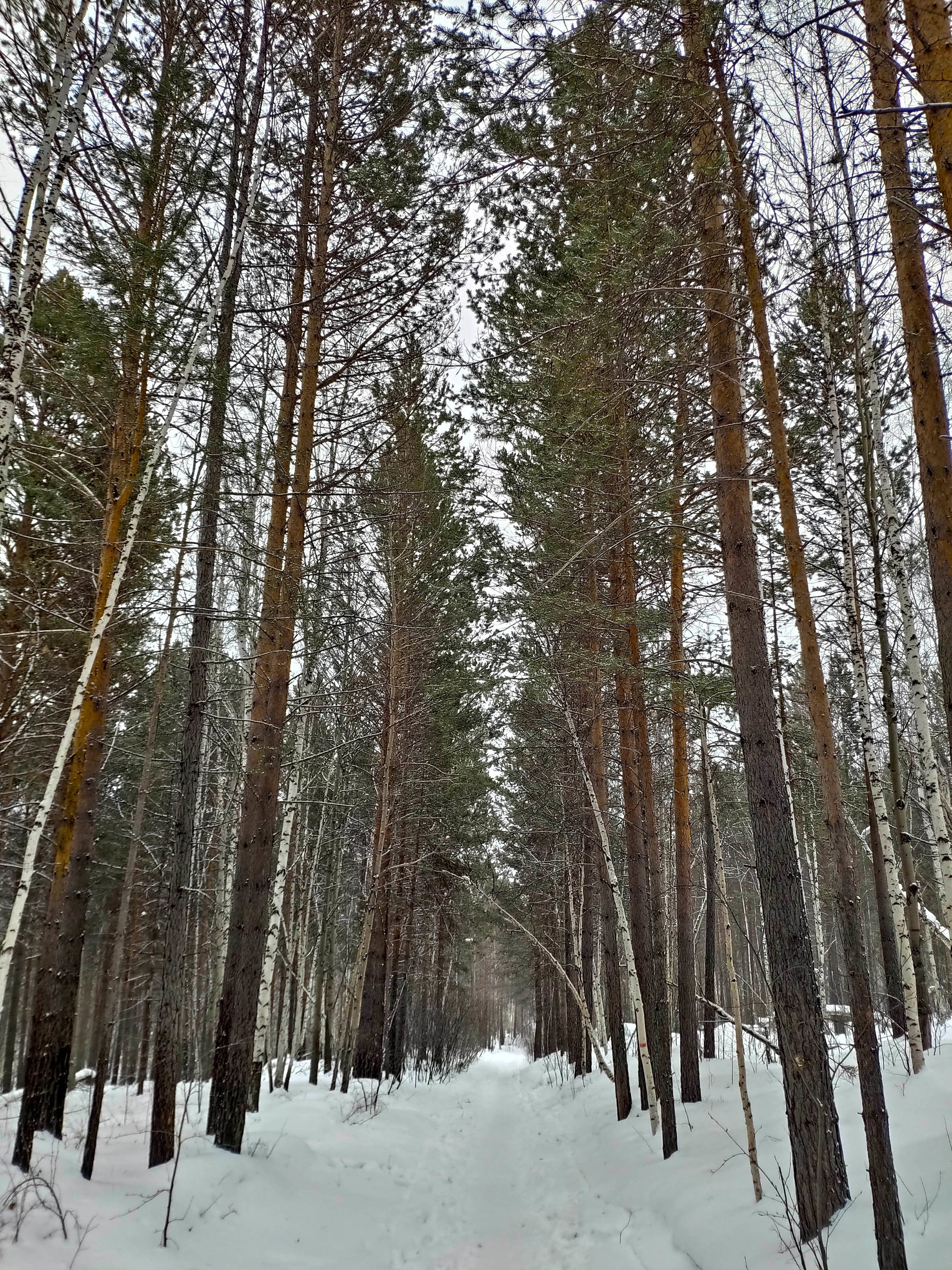 My Baikal, day 7: rocks of the Olkhinsky plateau - My, Baikal, Irkutsk, Xiaomi mi8, Longpost, 