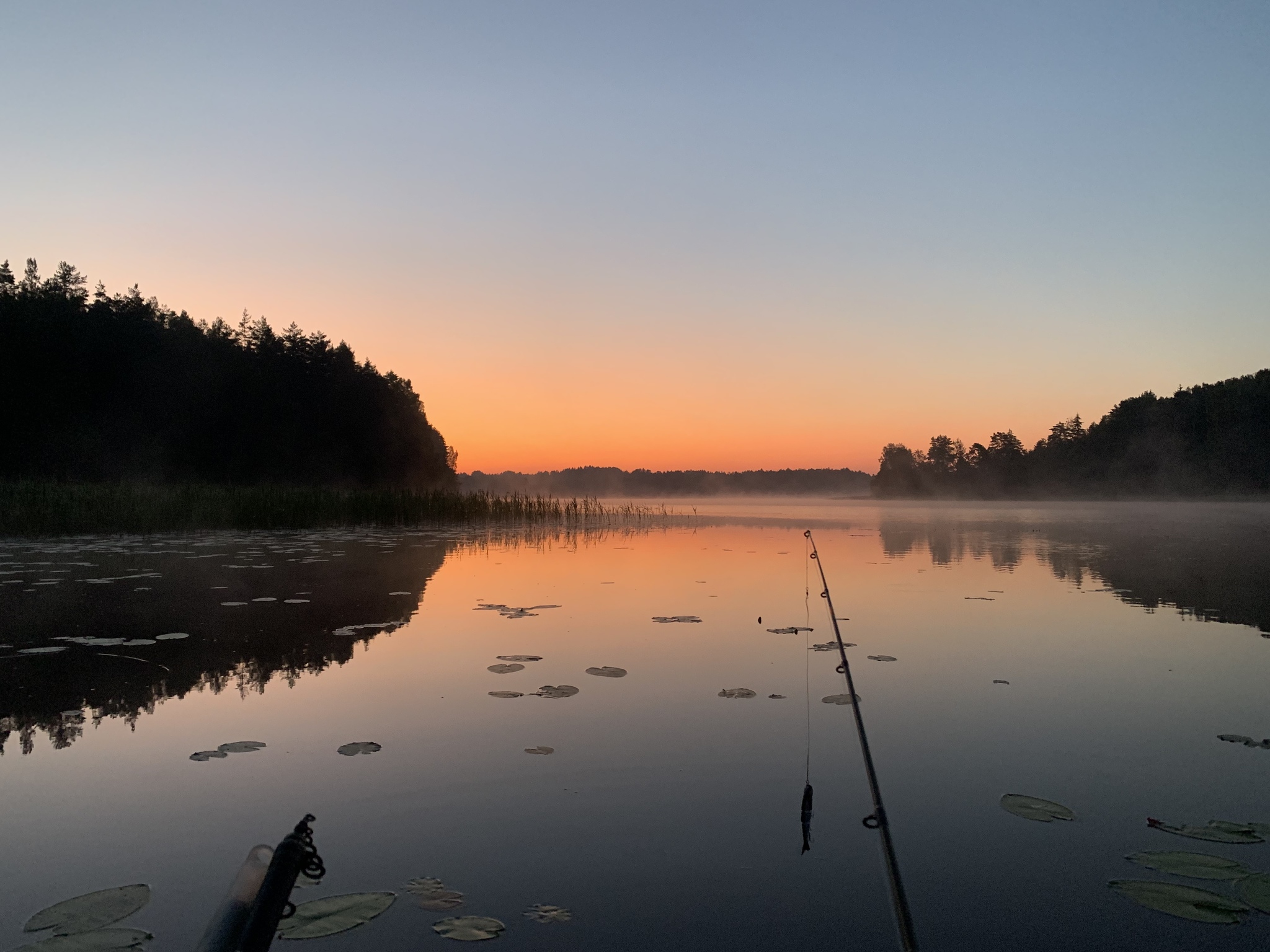 Dawn on the lake - My, dawn, Fishing, Morning, beauty, A boat, Nature, Fishing gear, Tver region