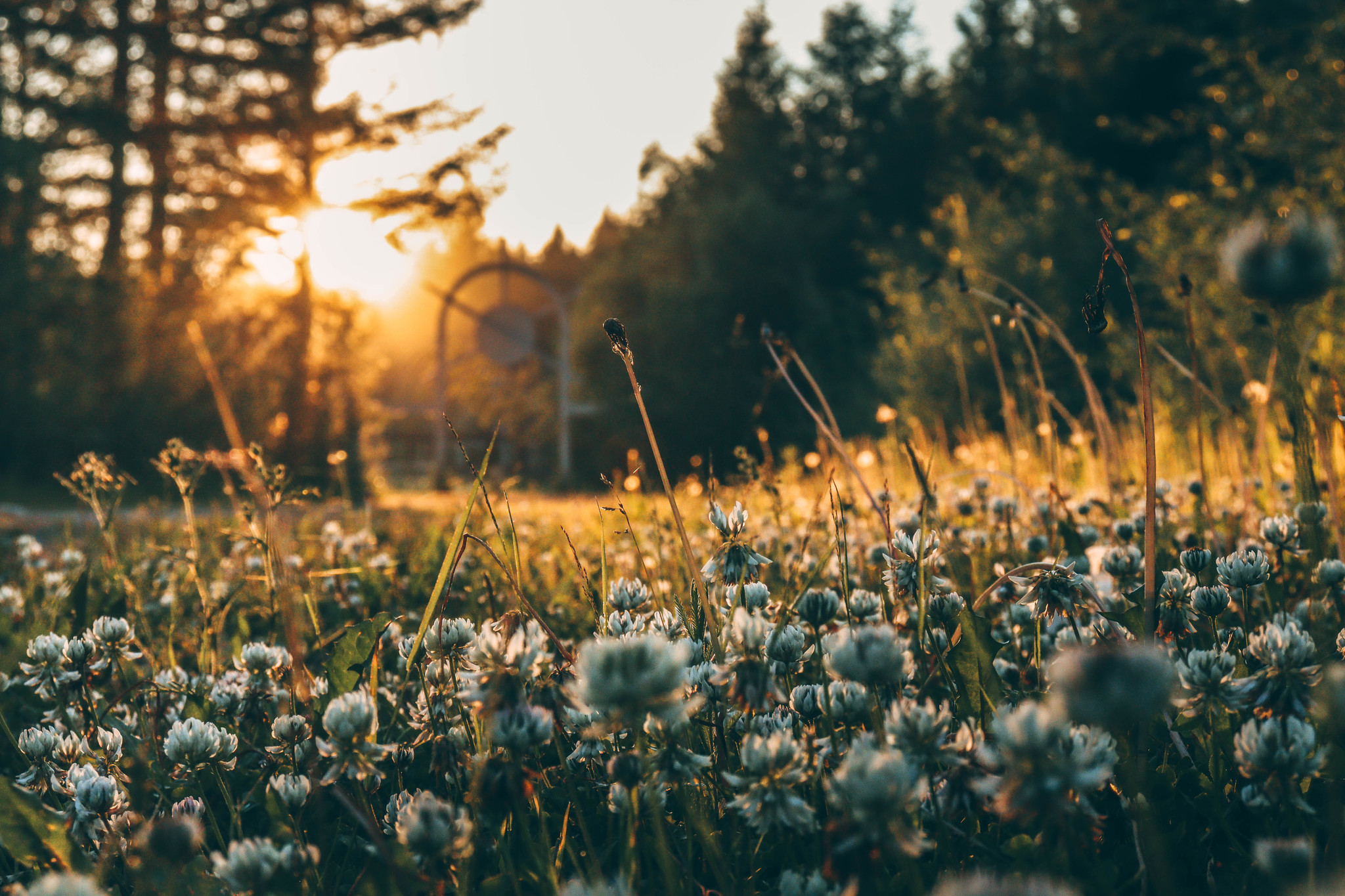 Summer warm evening - My, Neryungri, Sunset, Lightroom, Summer, Canon, Yakutia