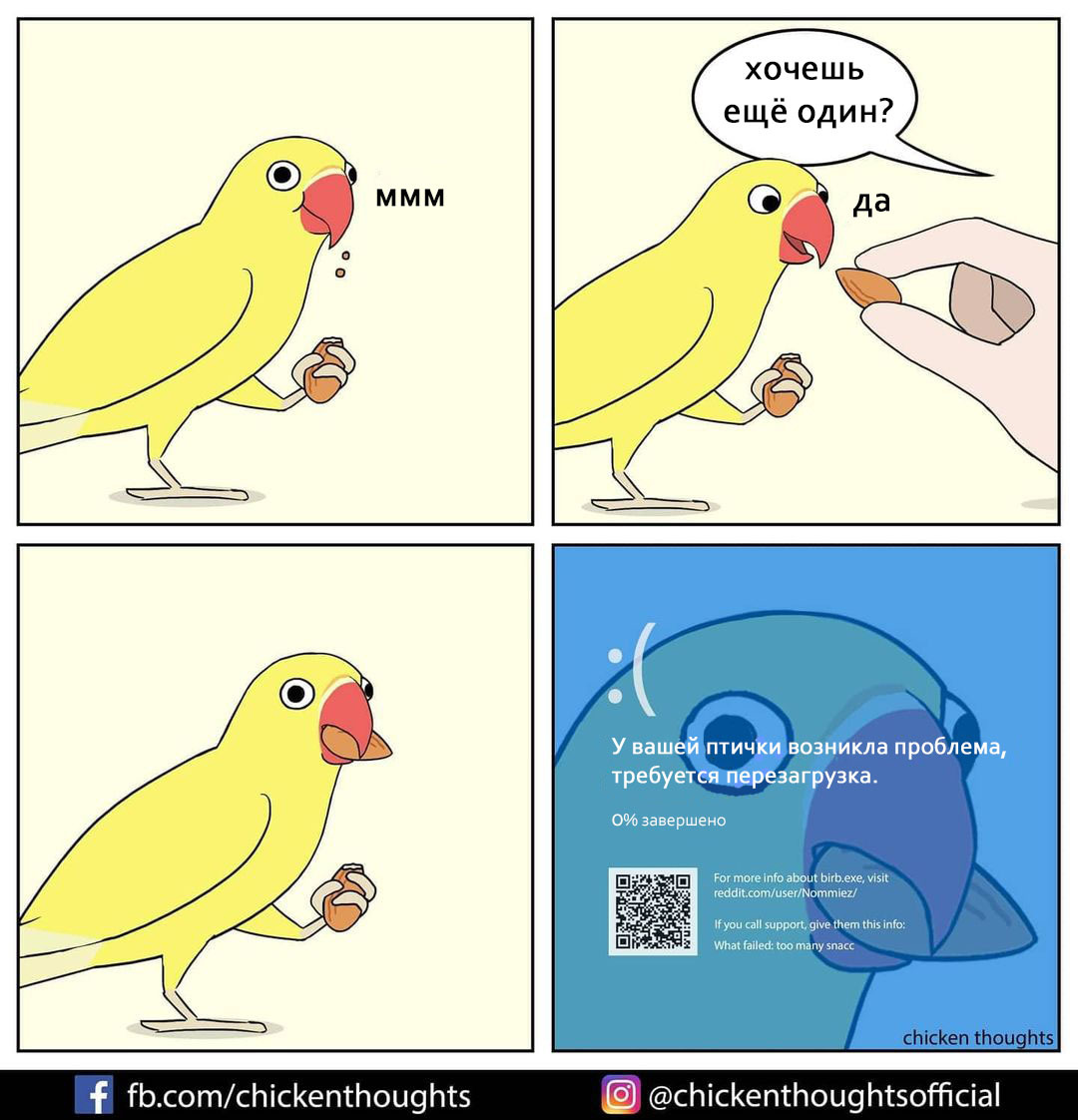 Your parrot needs a reboot - Chicken thoughts, Comics, A parrot, GIF, GIF with background