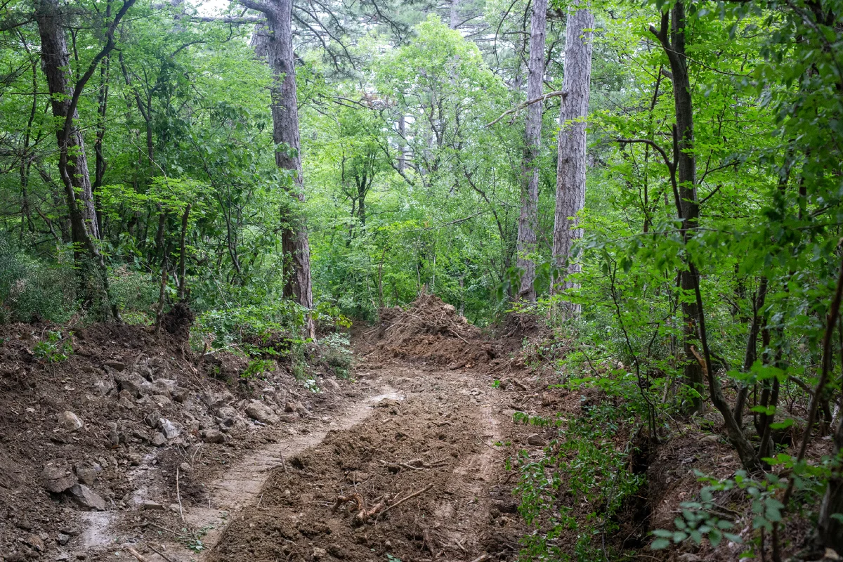 The Botkin trail officially opened in the Yalta Reserve after the flood - let's see what has changed - My, Crimea, Hike, Travels, Botkin Trail, Yalta, The mountains, Excursion, Nature, , The photo, Later, Longpost