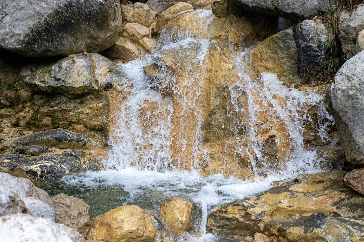 The Botkin trail officially opened in the Yalta Reserve after the flood - let's see what has changed - My, Crimea, Hike, Travels, Botkin Trail, Yalta, The mountains, Excursion, Nature, , The photo, Later, Longpost