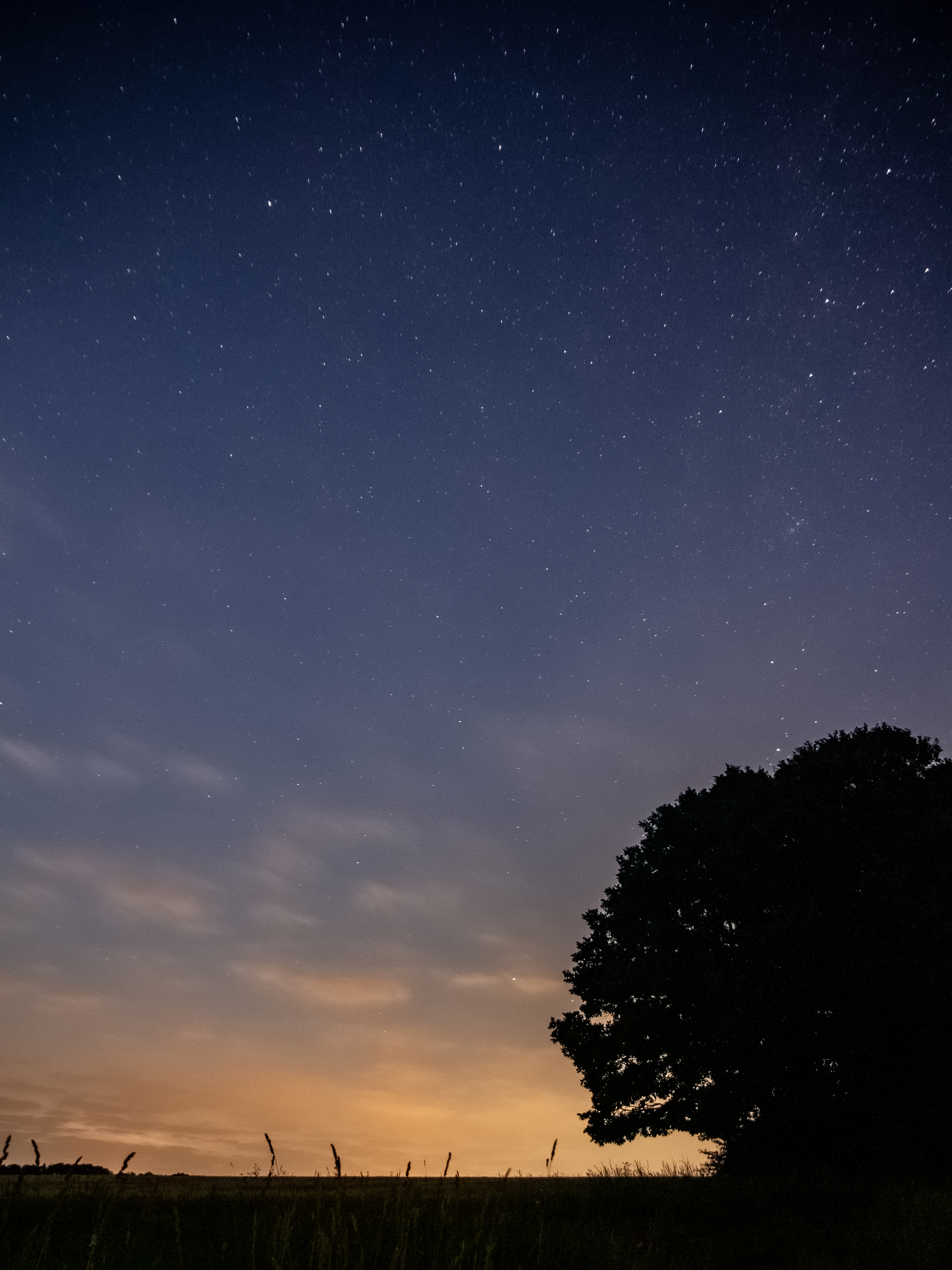 Night in the savannah - My, Night, Sky, Stars, Long exposure, Savannah, The photo