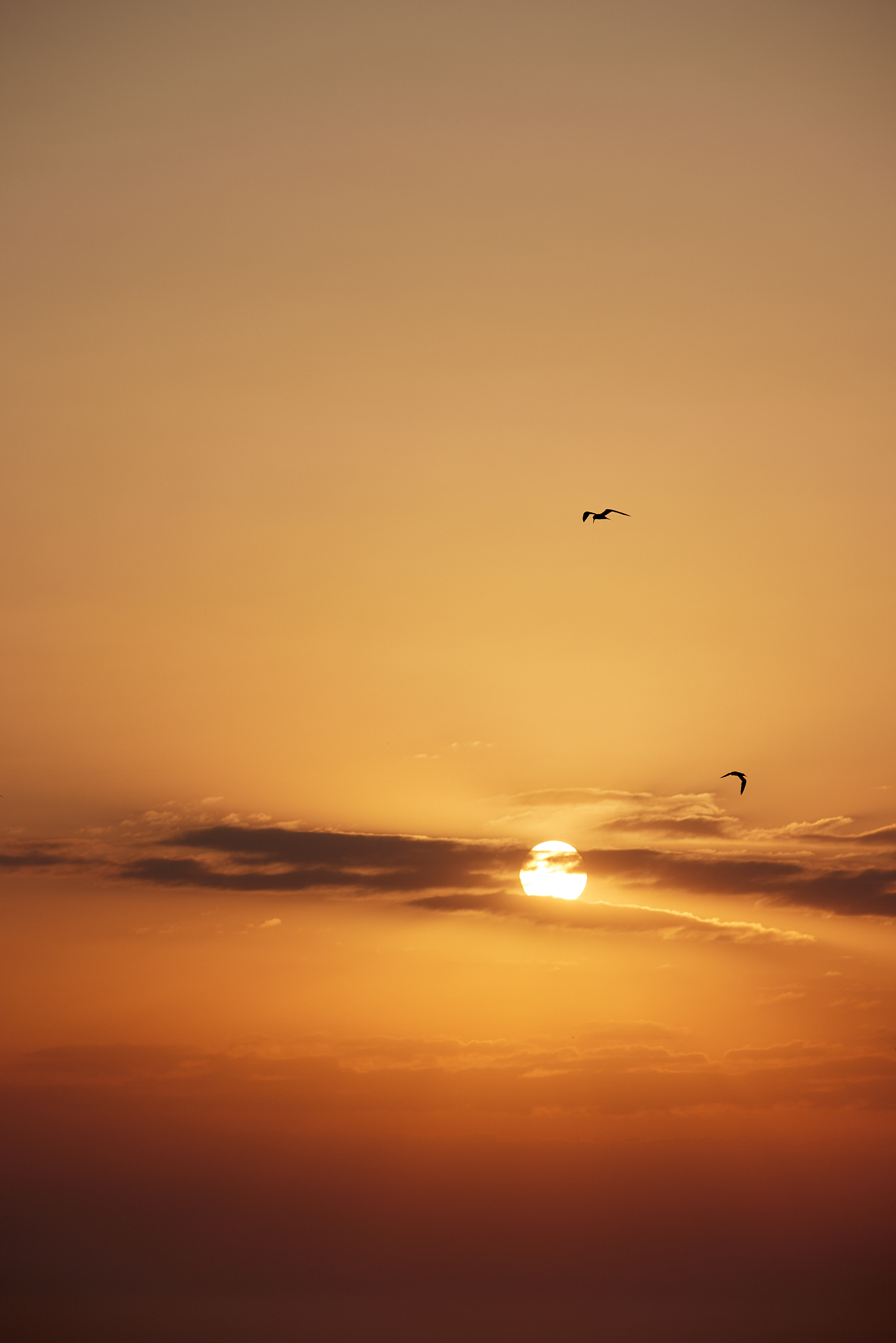 Vityazevo. - My, Sea, Vityazevo, Anapa, Travels, Sunset, The sun, The photo, Longpost