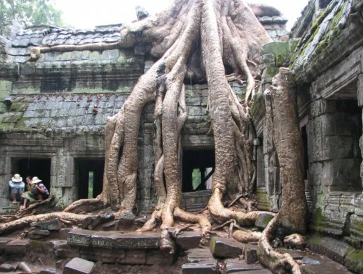 A metropolis lost in the jungle. The city of Angkor was once a city of a million people. - My, Story, Travels, Town, Longpost, angkor, Angkor Wat, Informative