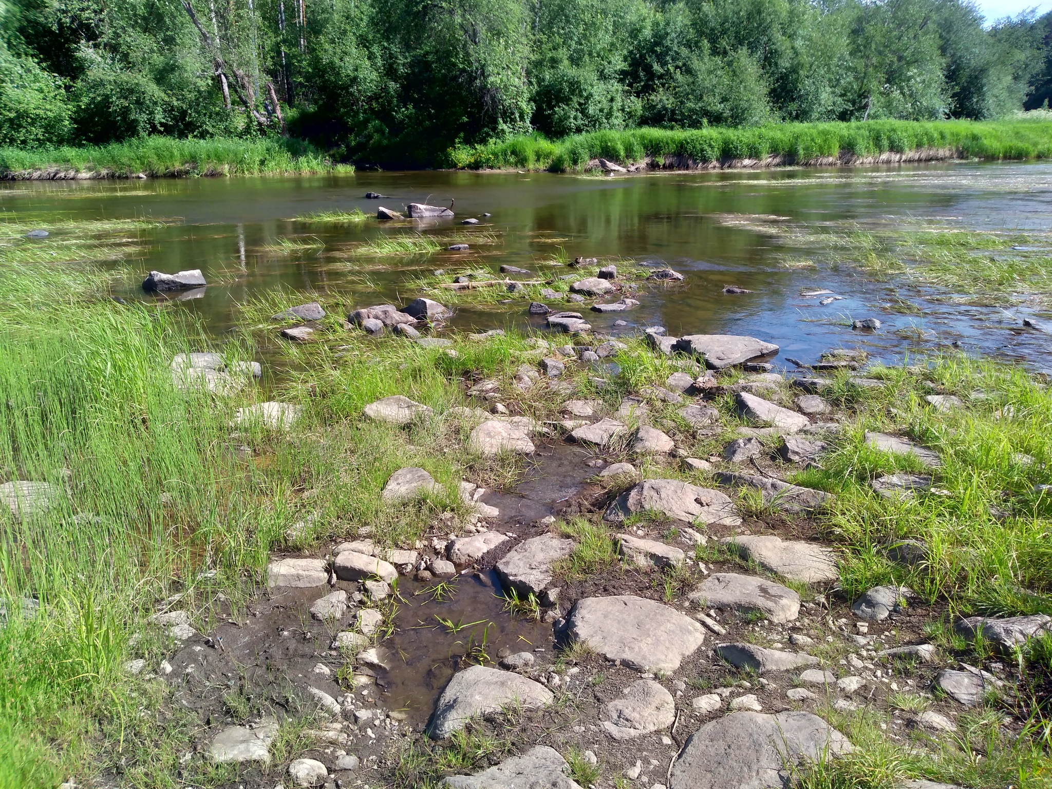 Shaitan-stone on the Rezh River: admiring the beautiful views, climbing the rocks, walking through the forest and fording the river. - My, Tourism, Ural, Sverdlovsk region, Shaitan, A rock, Hike, Tent, Dir, , Yekaterinburg, The photo, Nature, River, Longpost