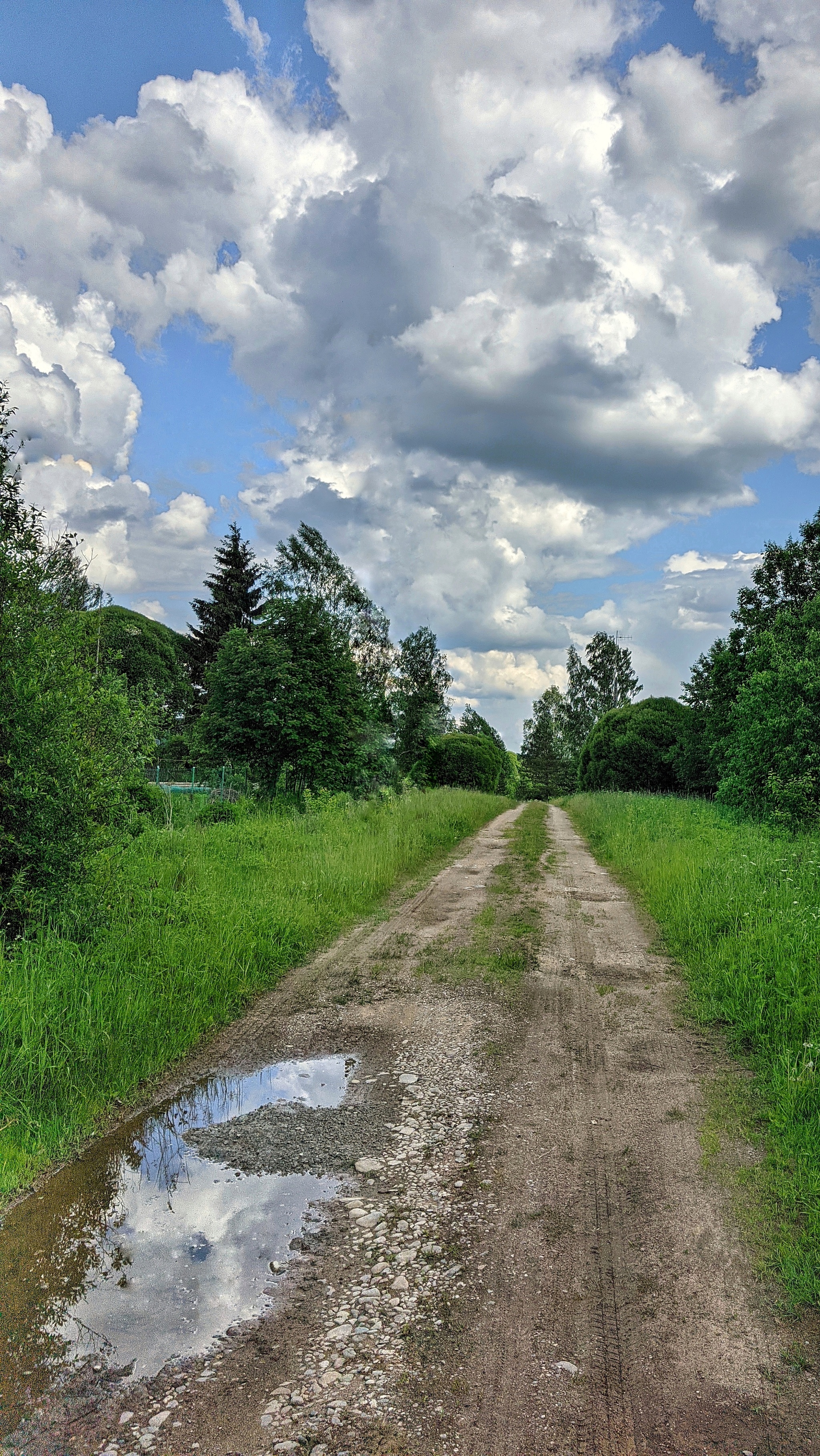 Novgorod landscapes - My, Landscape, Nature, Mobile photography, 2021, Novgorod region, Longpost