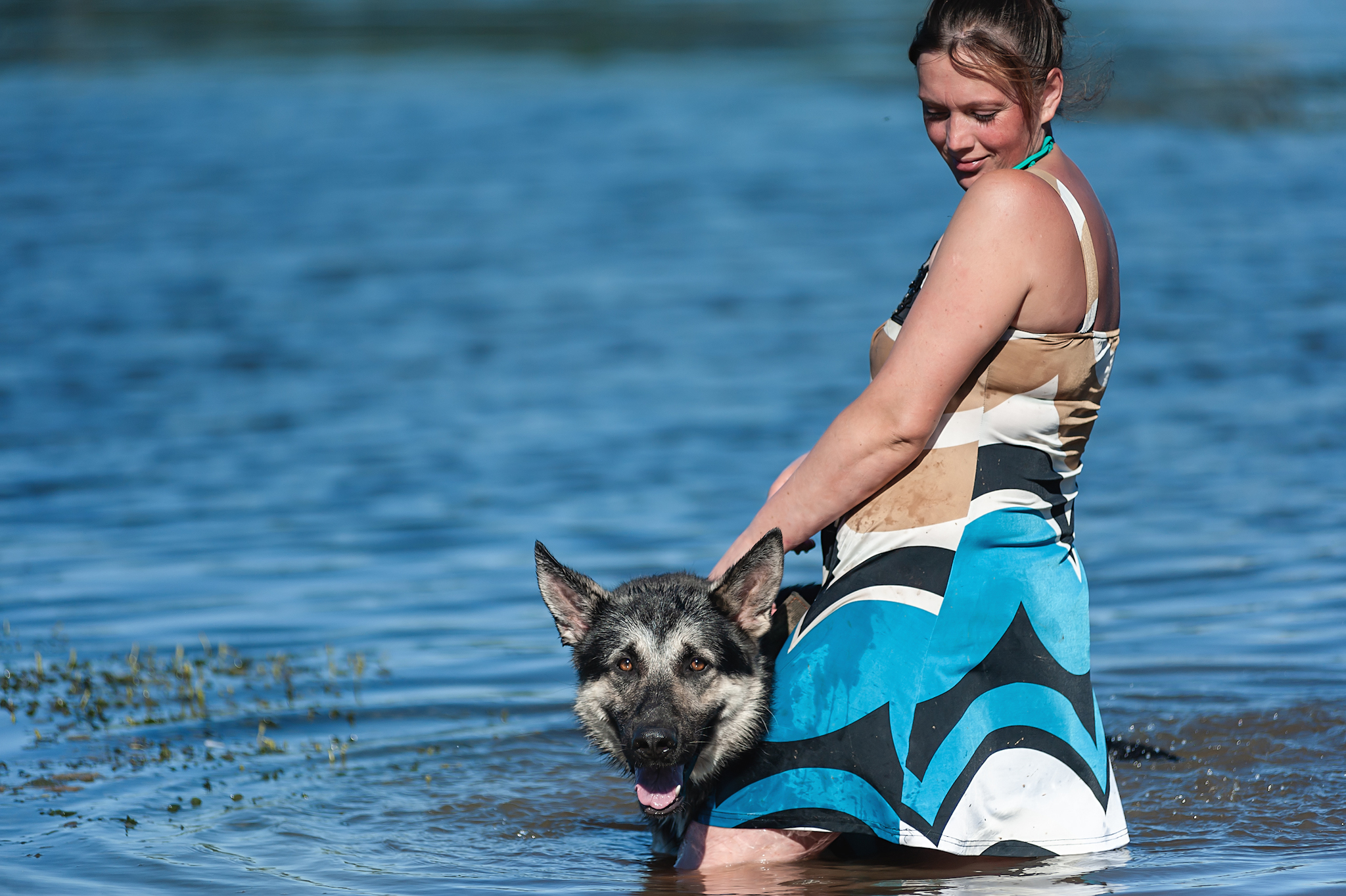 Guerra and Typhoon)) - My, The photo, Dog, Summer, Volga river, East European Shepherd, Sheepdog, Longpost