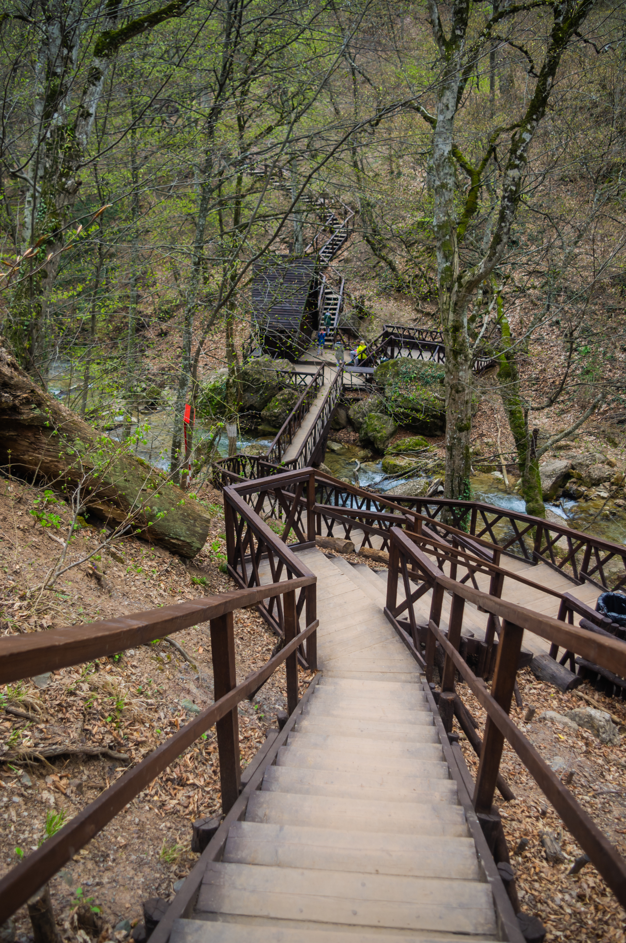 Spring forest and path to Jur-Jur waterfall - My, The photo, Crimea, Jur-Jur Waterfall, Jur-Jur, Spring, Tourism, Travels, Forest, Longpost