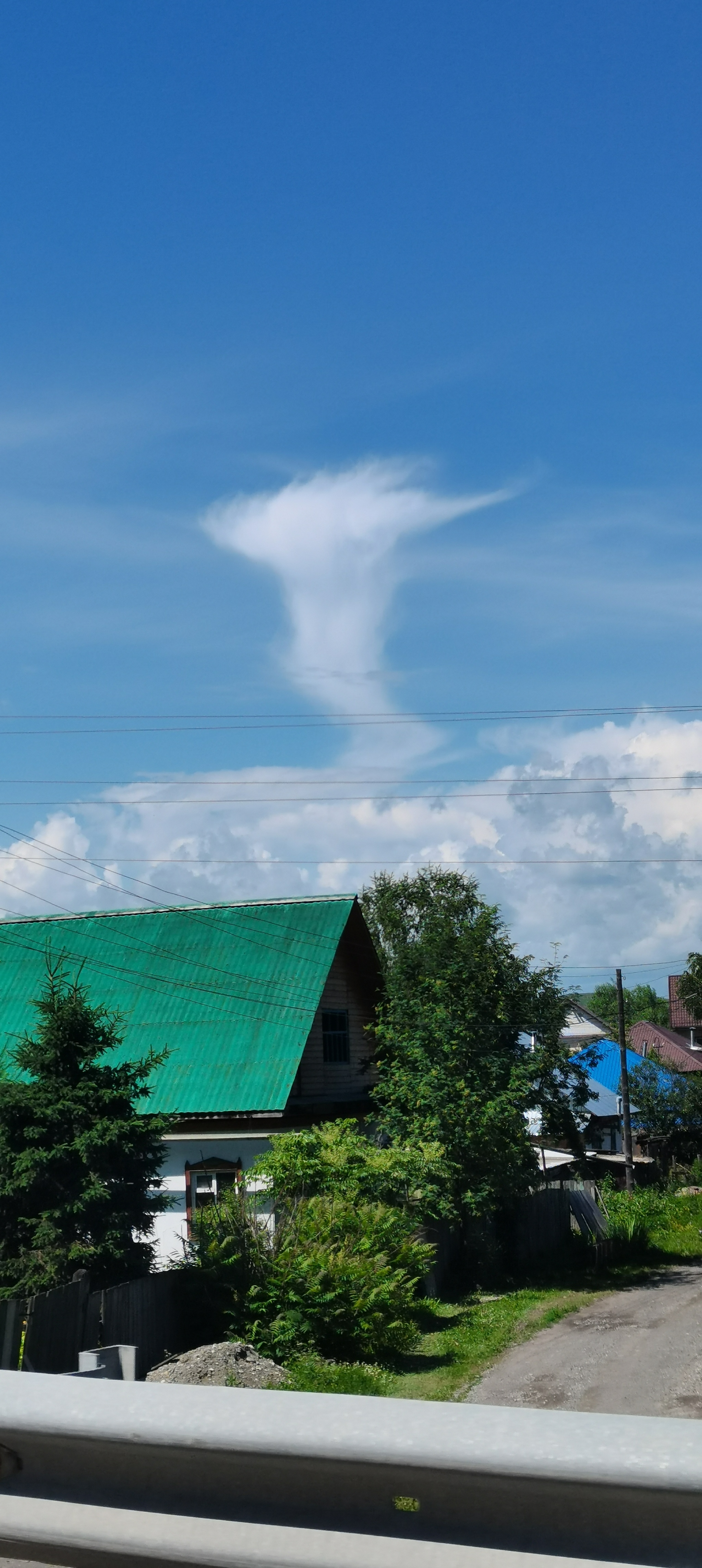 I am Groot - My, Clouds, Sky, Drive, Altai, Groot, Longpost, Altai Republic