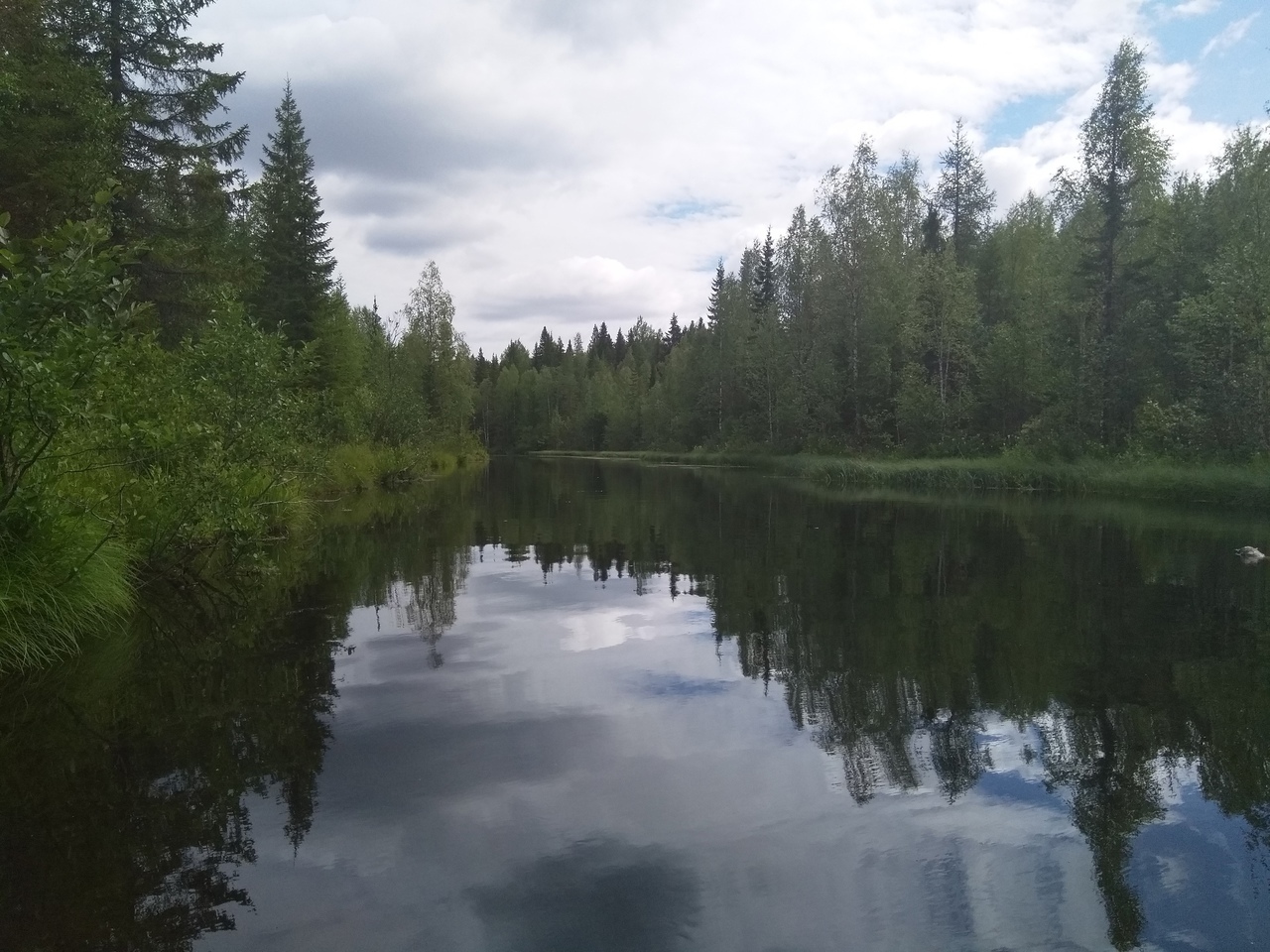 Северная красота - Моё, Север, Сплав по реке, Архангельская область, Фотография, Природа