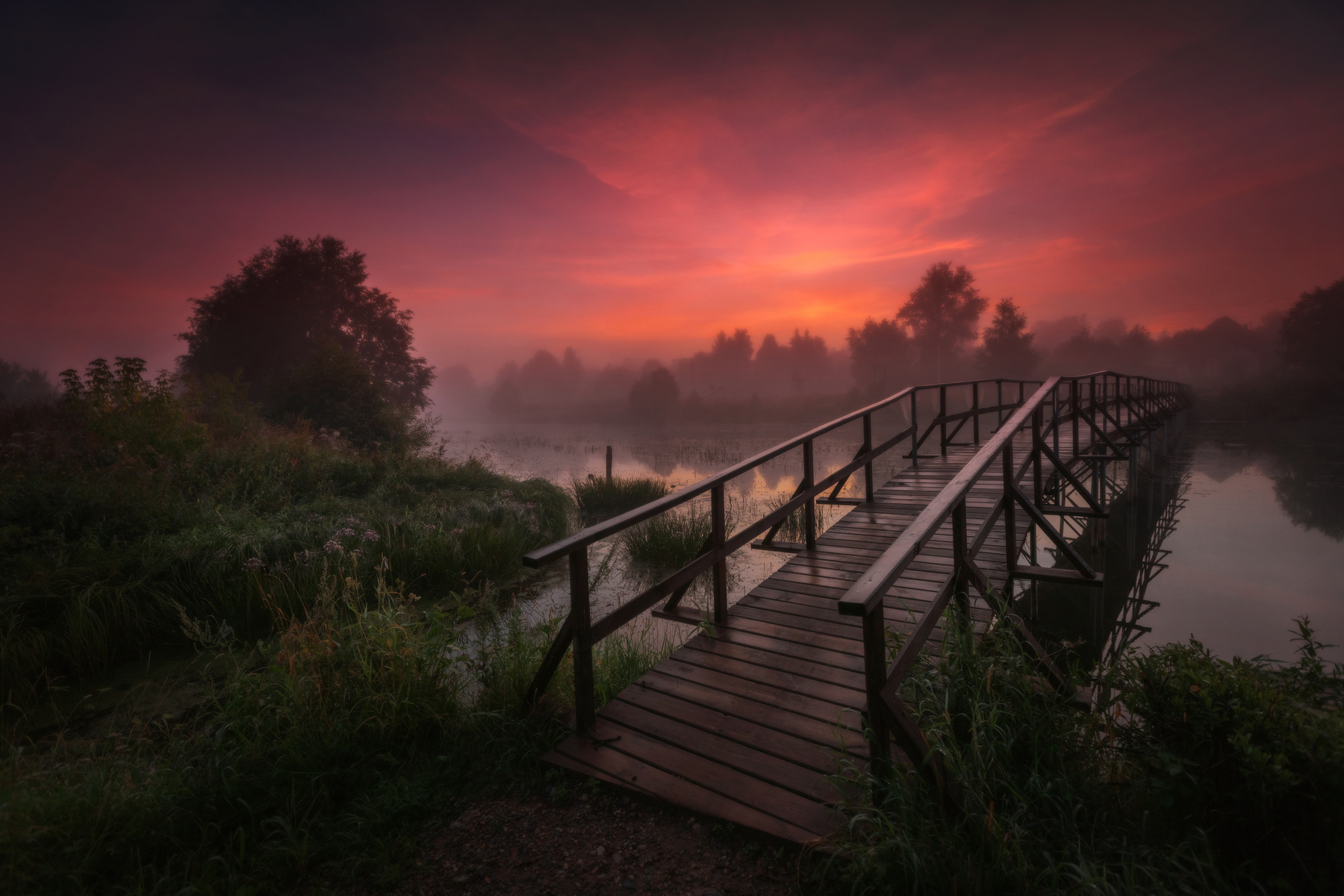 Bridge at dawn - The photo, Bridge, dawn, Nature