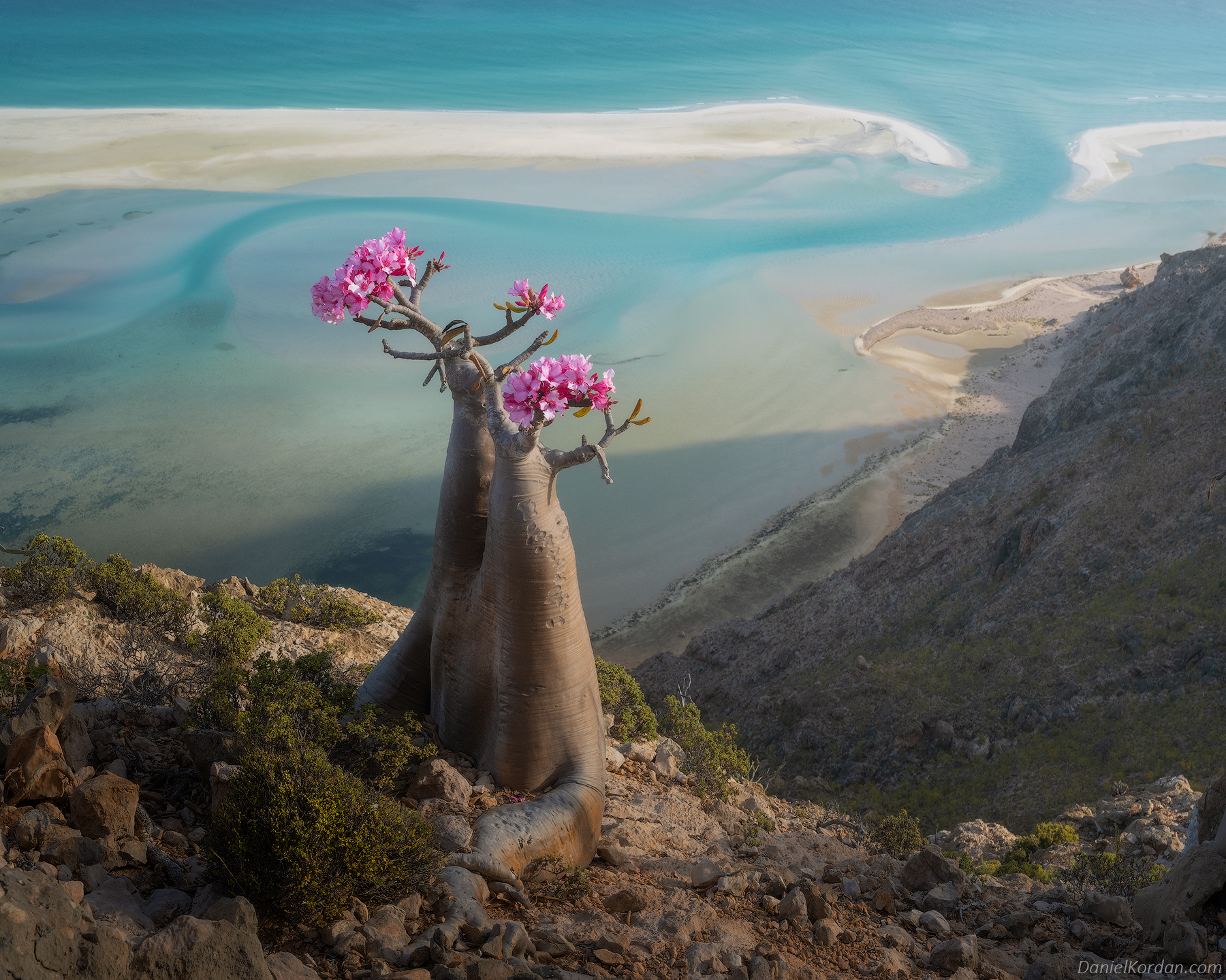 Socotra - The photo, Nature