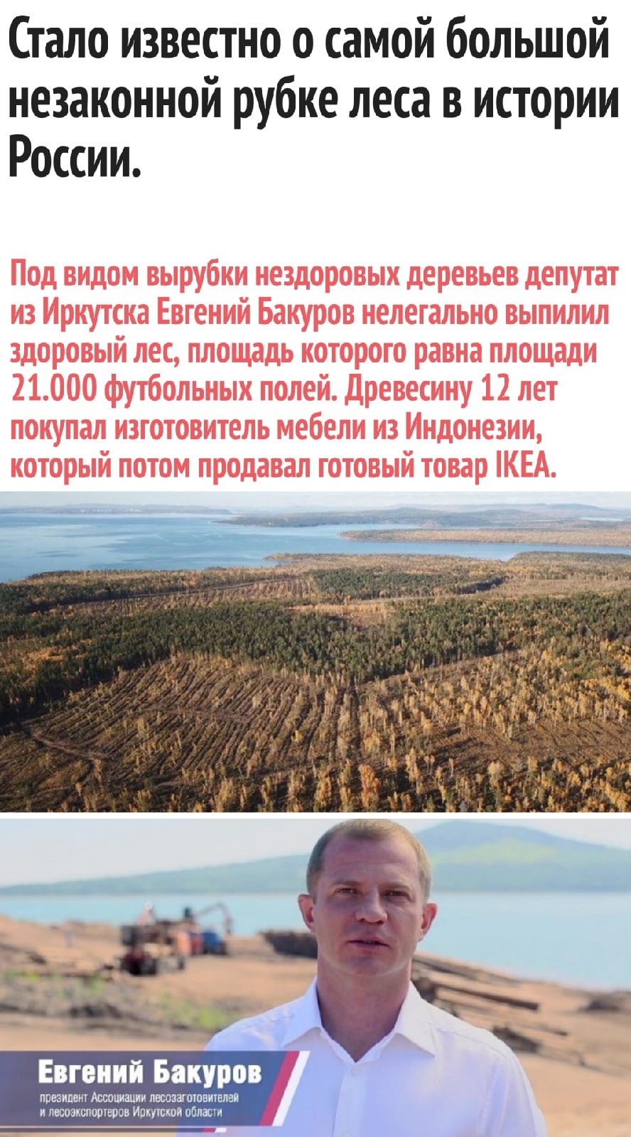 The MP was involved in illegal logging - Felling, Irkutsk region, Irkutsk, Forest, Deputies, Bratsk, Illegal activities, Longpost, IKEA, , Negative