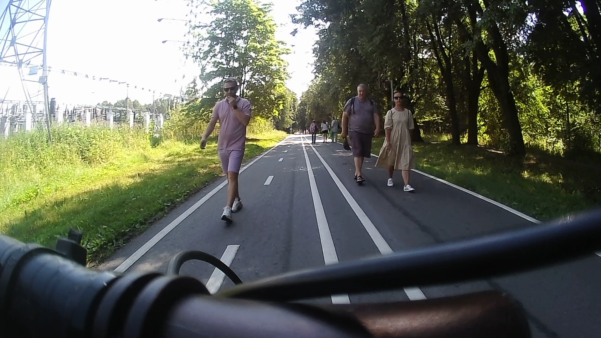 Cattle in Izmailovsky Park - My, Moscow, Izmailovsky park, Cattle, Bike path, Video recorder, A bike, Video, Longpost