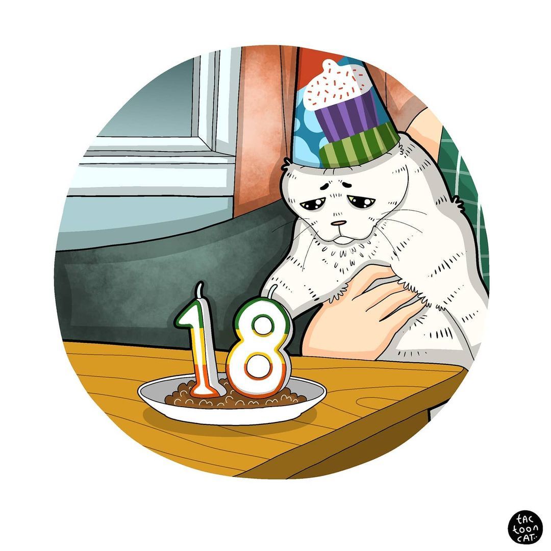 Birthday is the saddest holiday... - Drawing, Tactooncat, cat, Sadness, Birthday