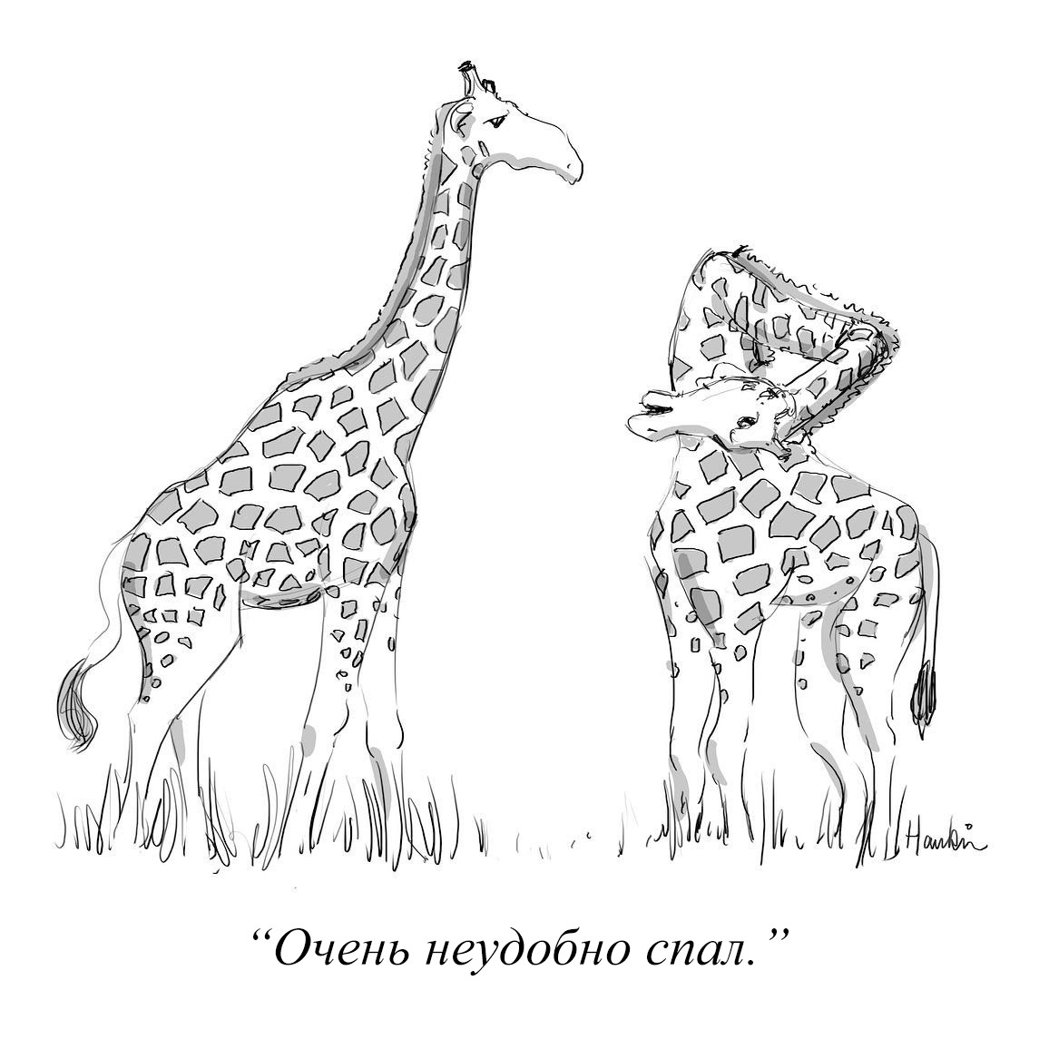 And then they say - evolution - Giraffe, Comics