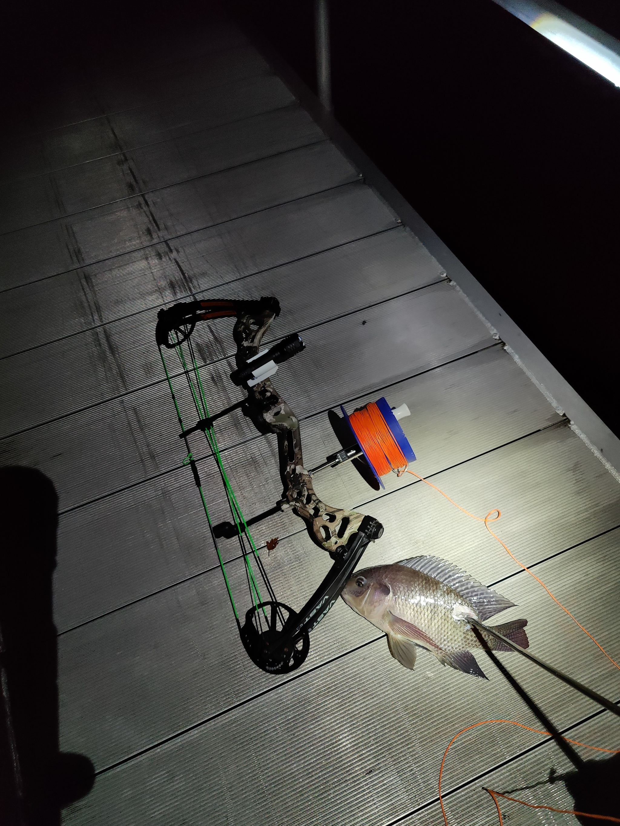 Continuation of the post Bowfishing or how I hunted fish with a bow - My, Fishing, Bowfishing, USA, Alligator, Hunting and fishing, Florida, Archery, A fish, , Crossbow, Hurricane, Reply to post, Longpost