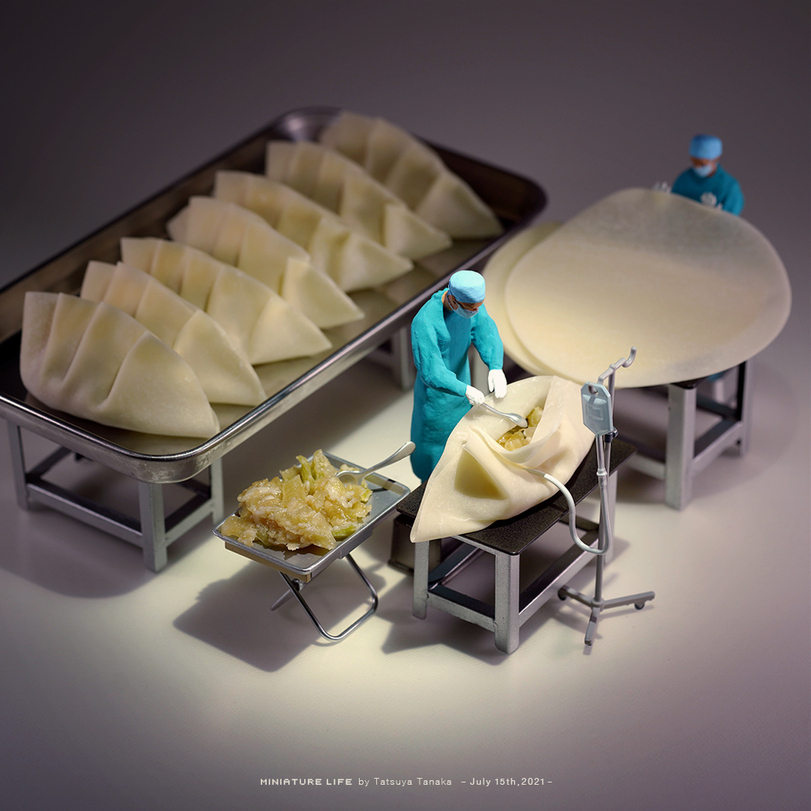 Dumpling plastic surgery - Miniature, Operation, Dumplings, Tatsuya Tanaka, Filling