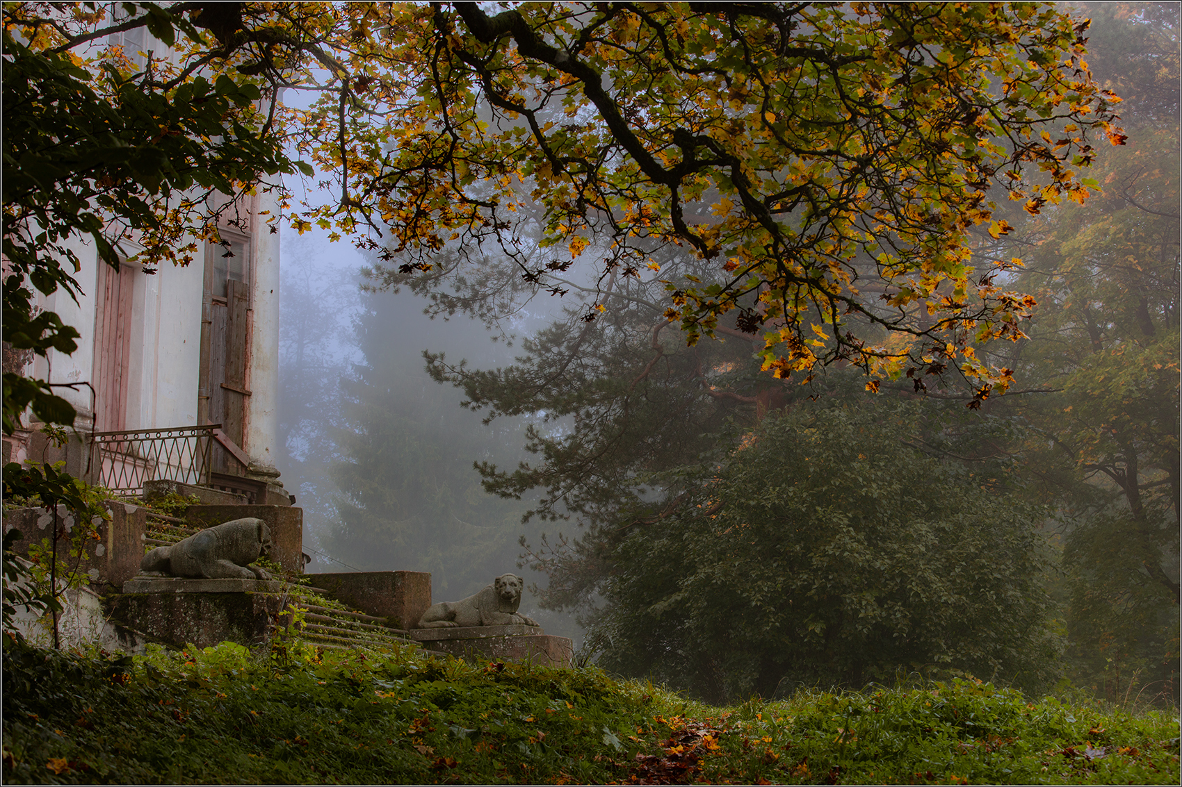 Atmospheric - The photo, Nature, Landscape