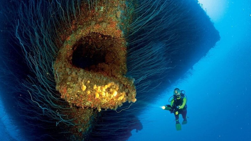 Фотоподборка На дне - Морское, Затонувшие корабли, Затонувший город, Скульптура, Подводная съемка, Кости, Корабль, Длиннопост, Фотография