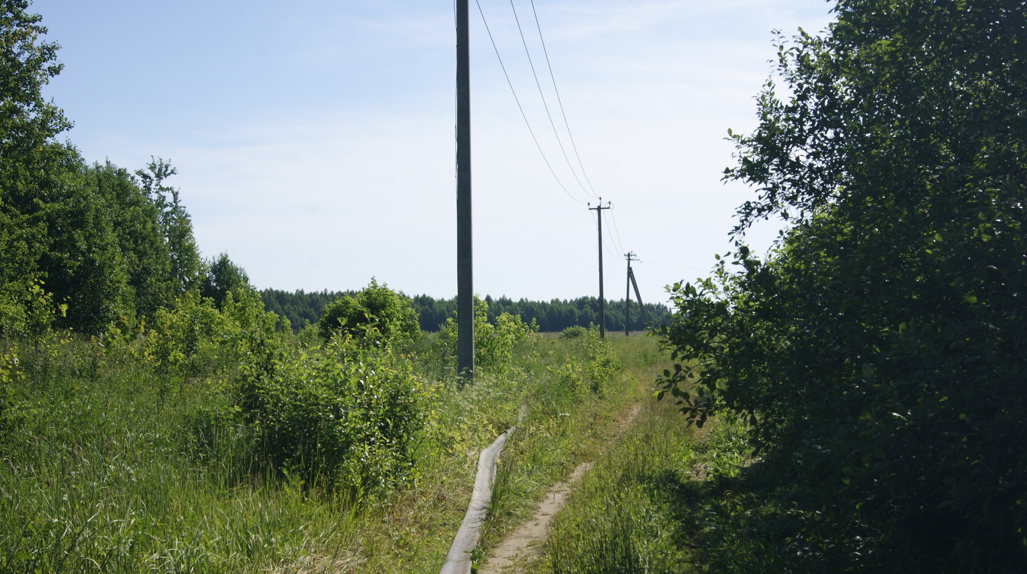 Drain off the dregs - My, Draining, Environmental pollution, Pigsty, Negative, Longpost