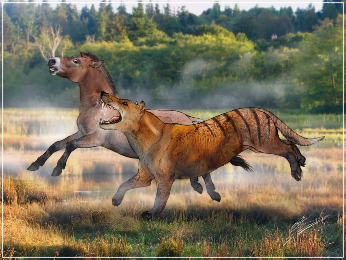 He hunts