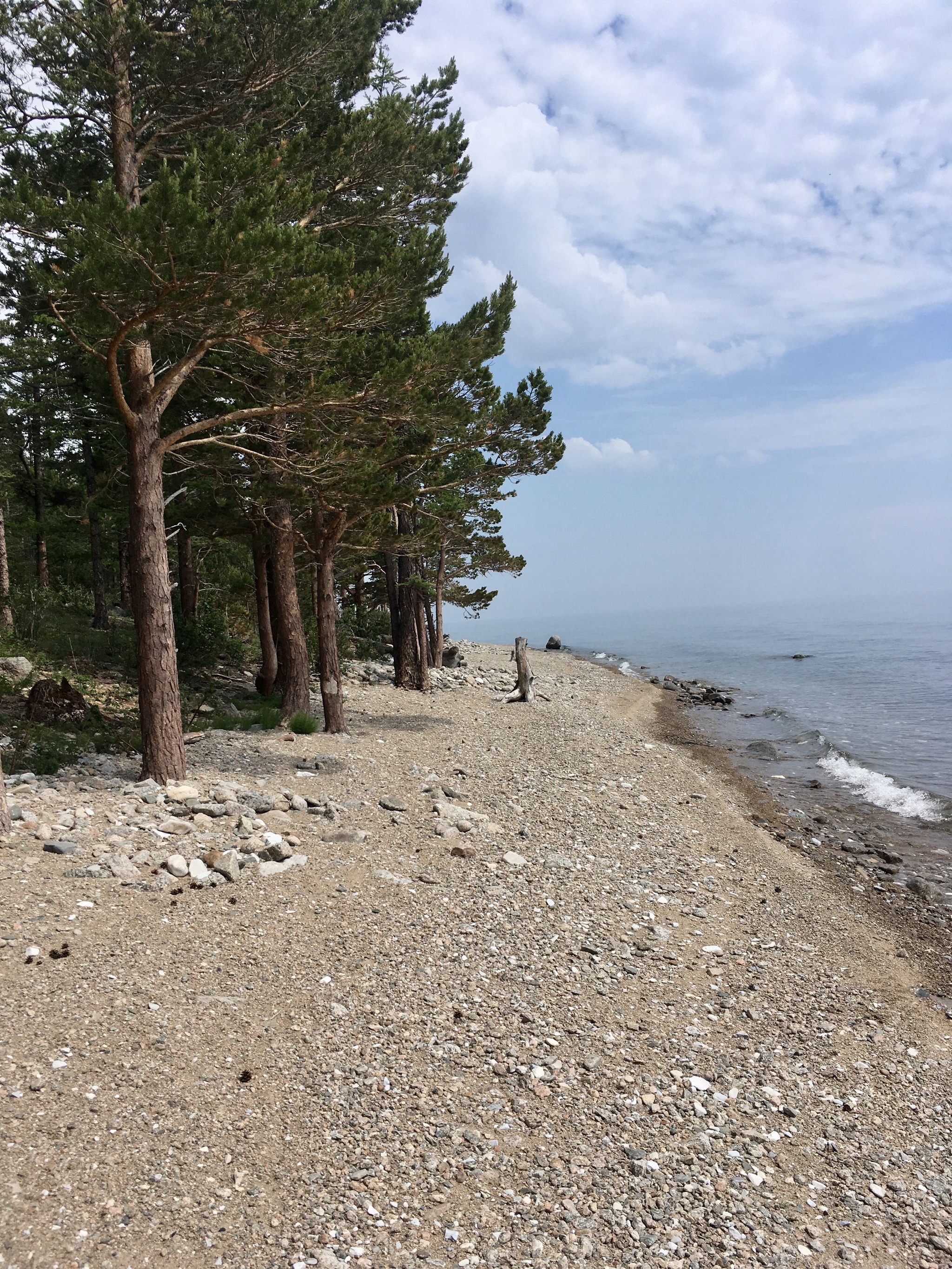 Baikal pedestrian Buguldeyka - Big cats - My, Hiking, Baikal, Buguldeyka, Great Baikal Trail, Longpost, Video