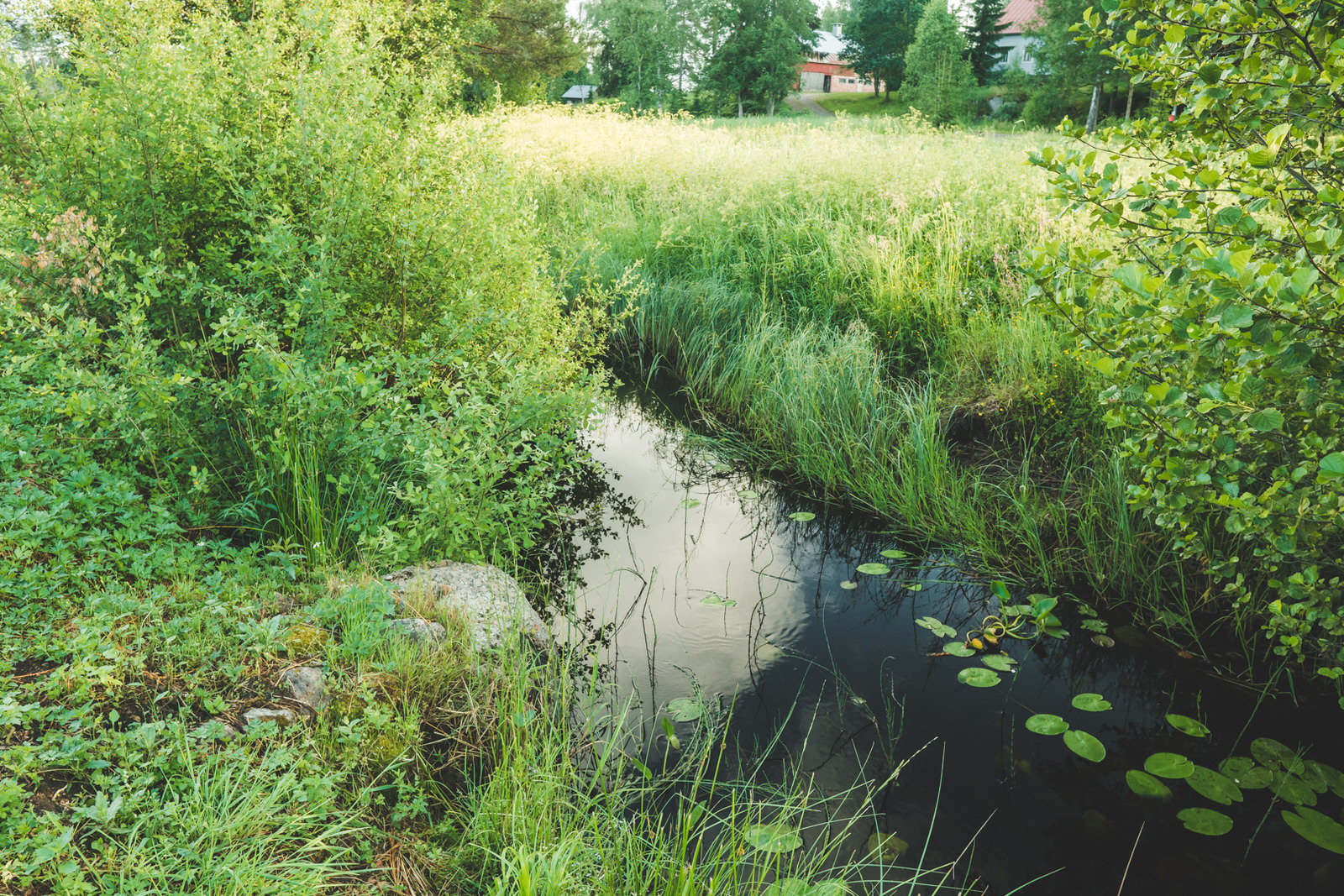 Mormyshing in a micro stream. - My, Fishing, Mormyshka, Fishermen, Spinning, Perch, Roach, Microjig, , Video, Longpost, , Video blog