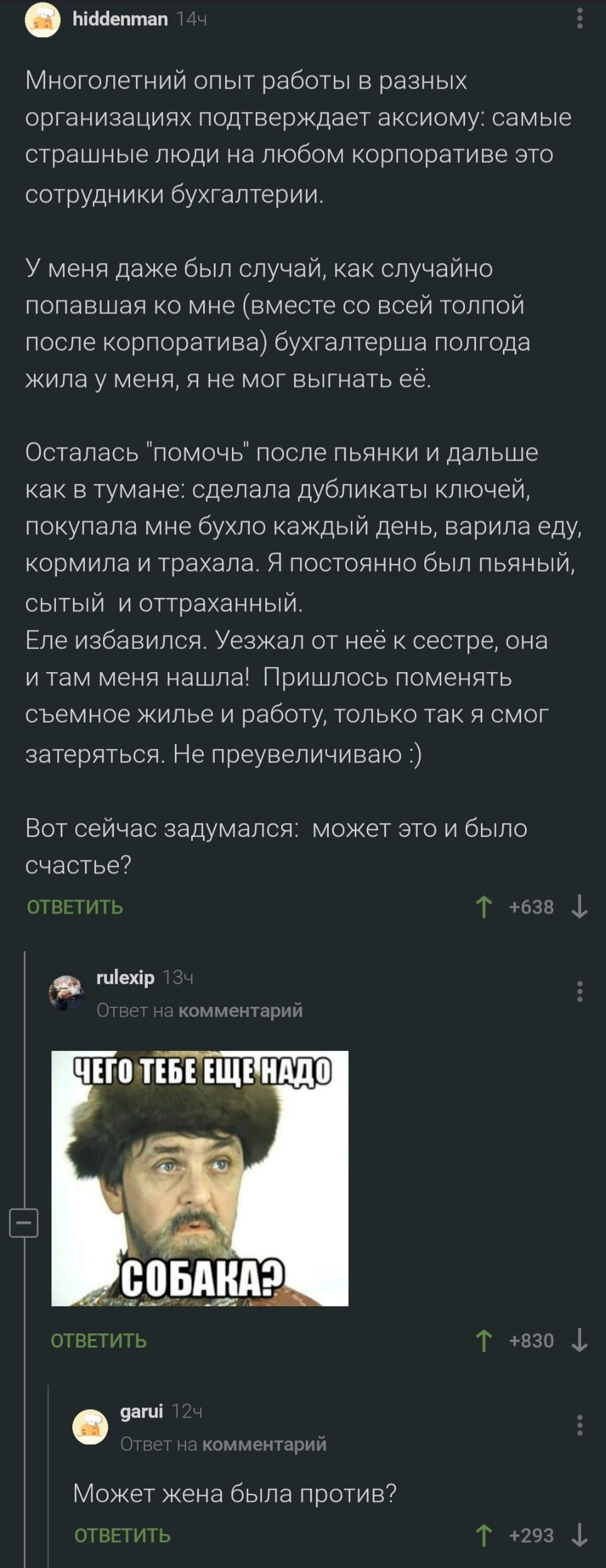 Эти бухгалтерши... - Скриншот, Комментарии на Пикабу, Бухгалтерия, Счастье, Длиннопост