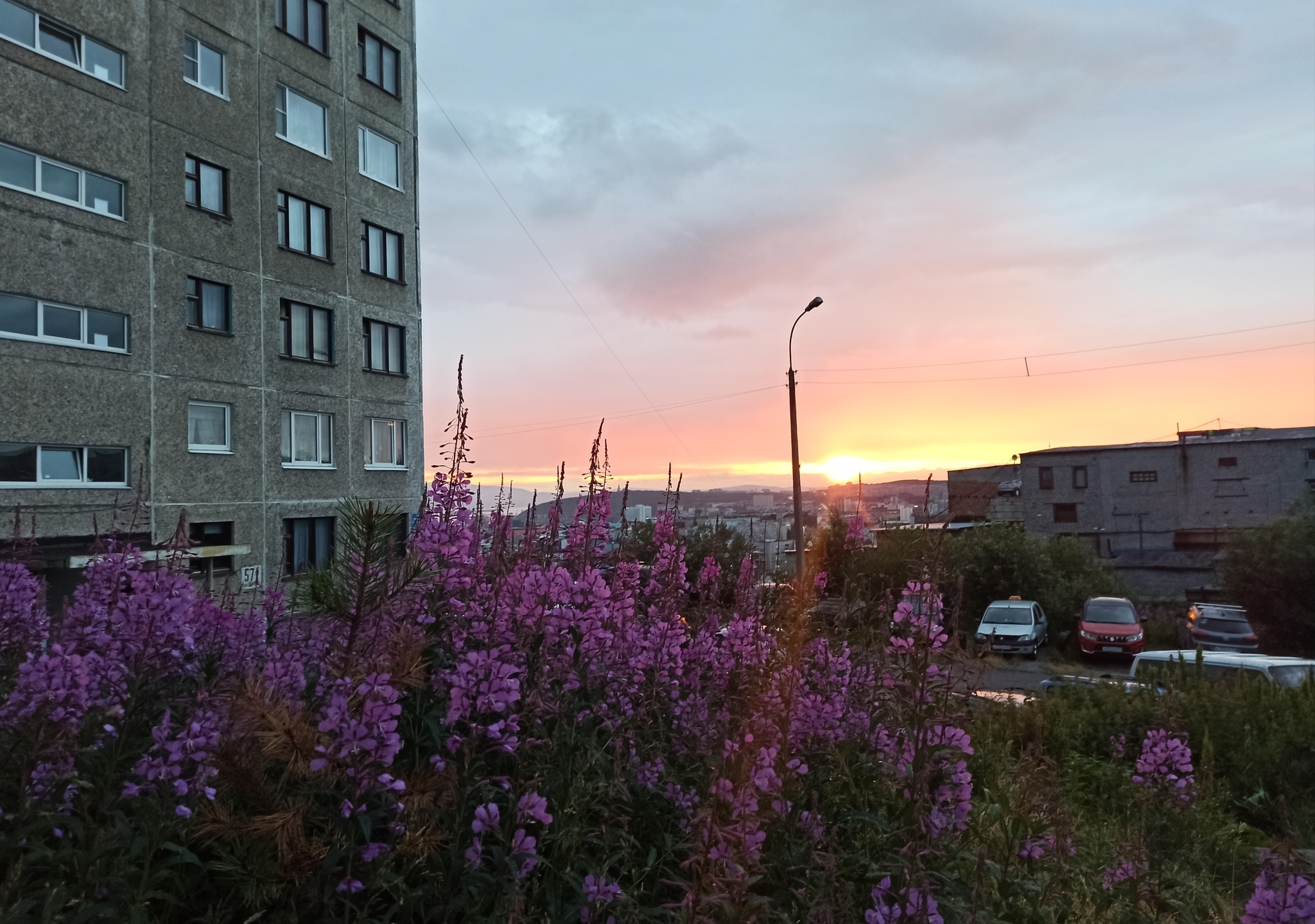 short northern summer - My, Summer, North, Blooming Sally, Murmansk, Polar day, Urbanphoto