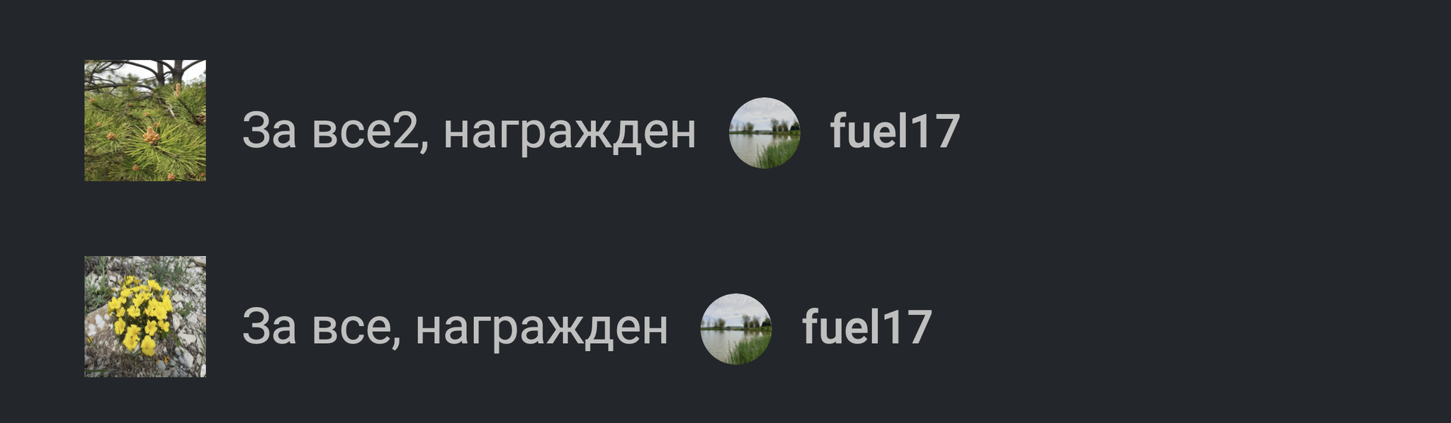 Что это такое? - Награды Пикабу, Вопрос, Странности