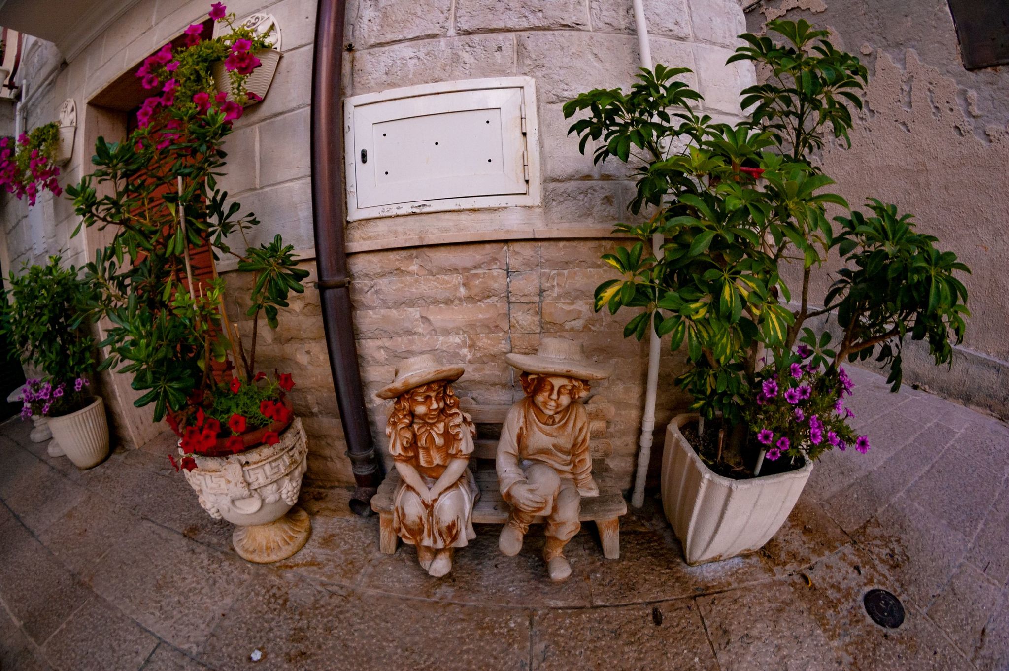 City of Monopoli, Puglia (southeast Italy, heel) this summer. fisheye lens - My, Italy, Sea, Longpost, Fish Eye