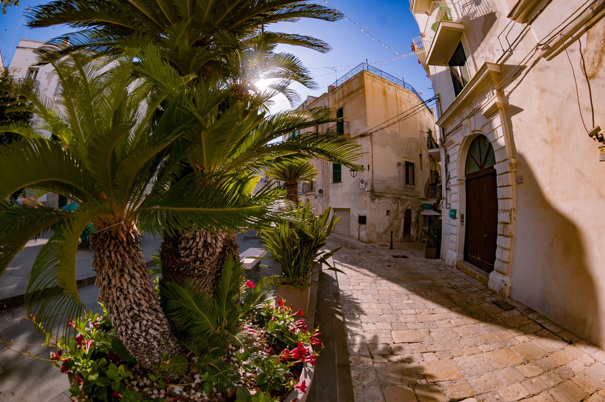 City of Monopoli, Puglia (southeast Italy, heel) this summer. fisheye lens - My, Italy, Sea, Longpost, Fish Eye