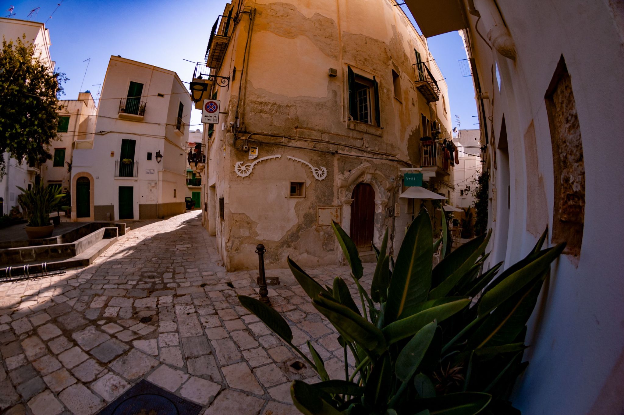 City of Monopoli, Puglia (southeast Italy, heel) this summer. fisheye lens - My, Italy, Sea, Longpost, Fish Eye