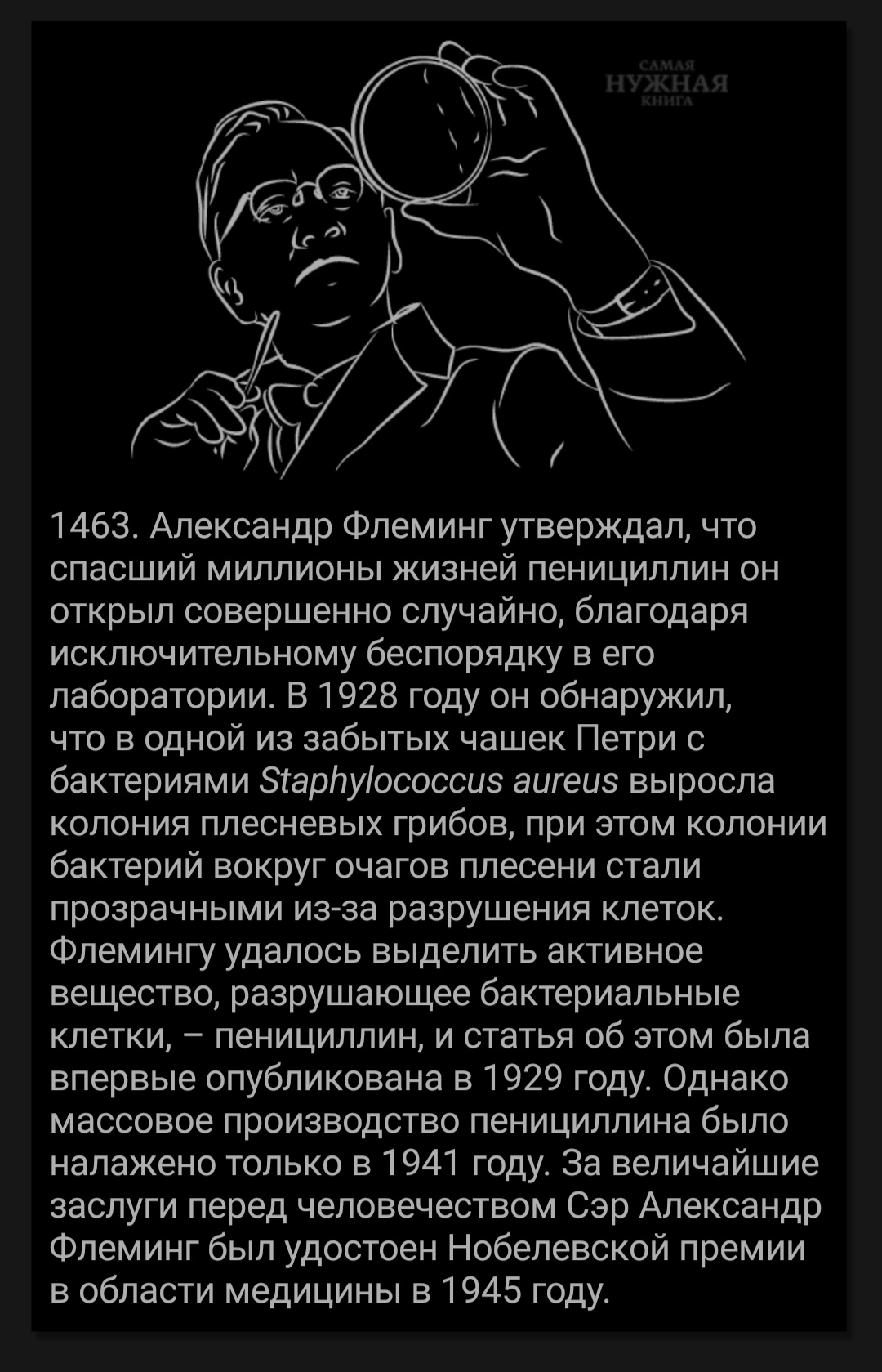 Как создался пенициллин? Антибиотики | Пикабу