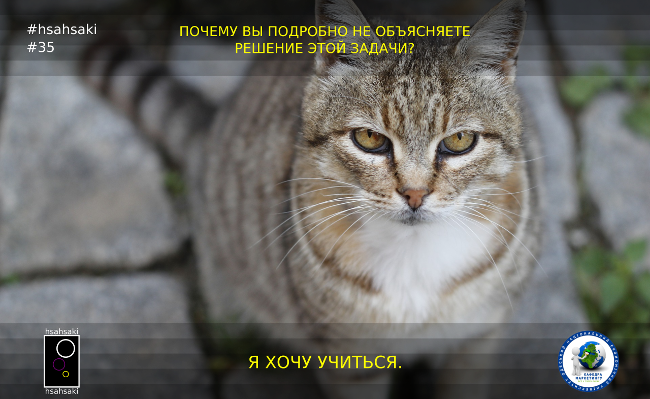 Students need a more detailed explanation of the problem - My, University, University, Students, Teacher, Student body, Studies, Education, Pursuit, , Tenacity, Wish, Purposefulness, Animals, cat, Memes, Humor, Professional humor, Picture with text, Task, Explanation, Solution