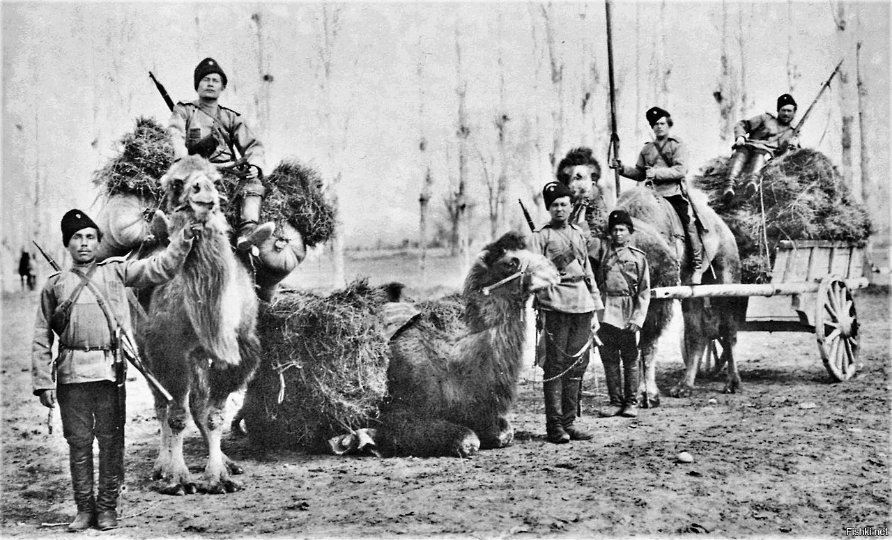 Orenburg retrodetective. - My, Orenburg, Orsk, Retro, archive, Story, Cossacks, Longpost