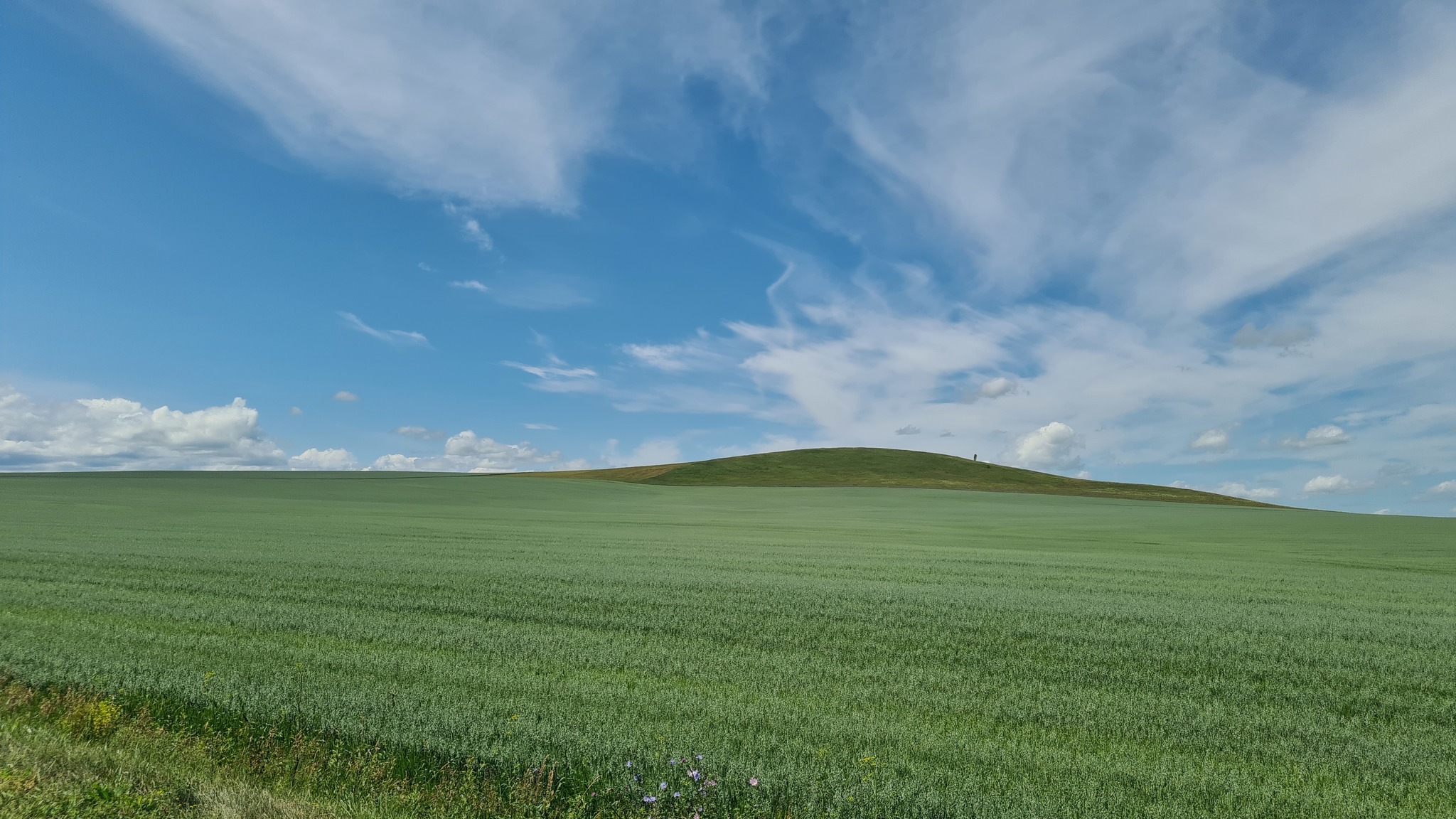 Altai, Chuisky tract - My, Mountain Altai, Travels, The mountains, Nature, Meadows, Road trip, Longpost, Altai Republic