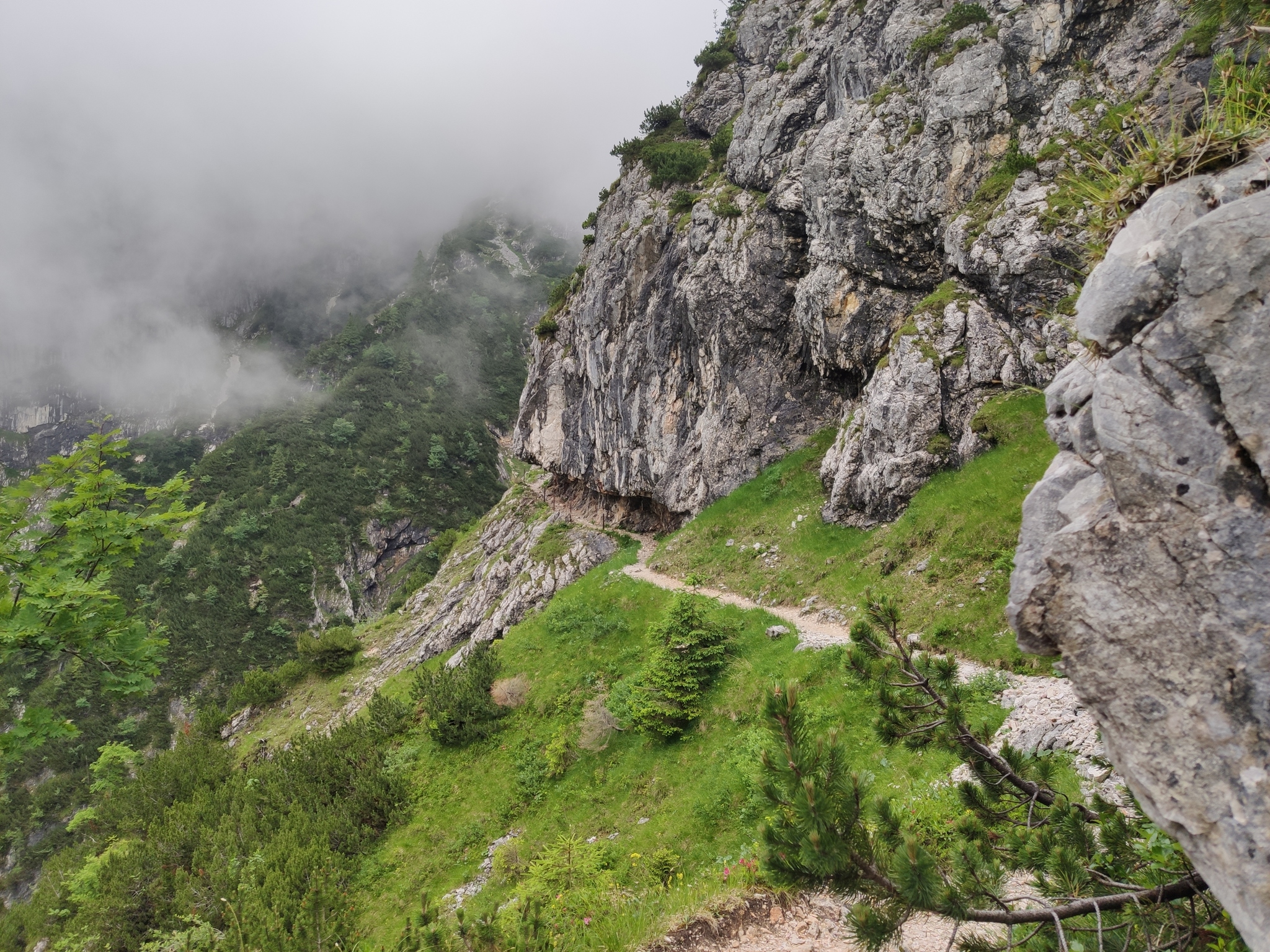 Про отпуск - Моё, Отпуск, Горы, Германия, Бавария, Красота, Фотография, Длиннопост