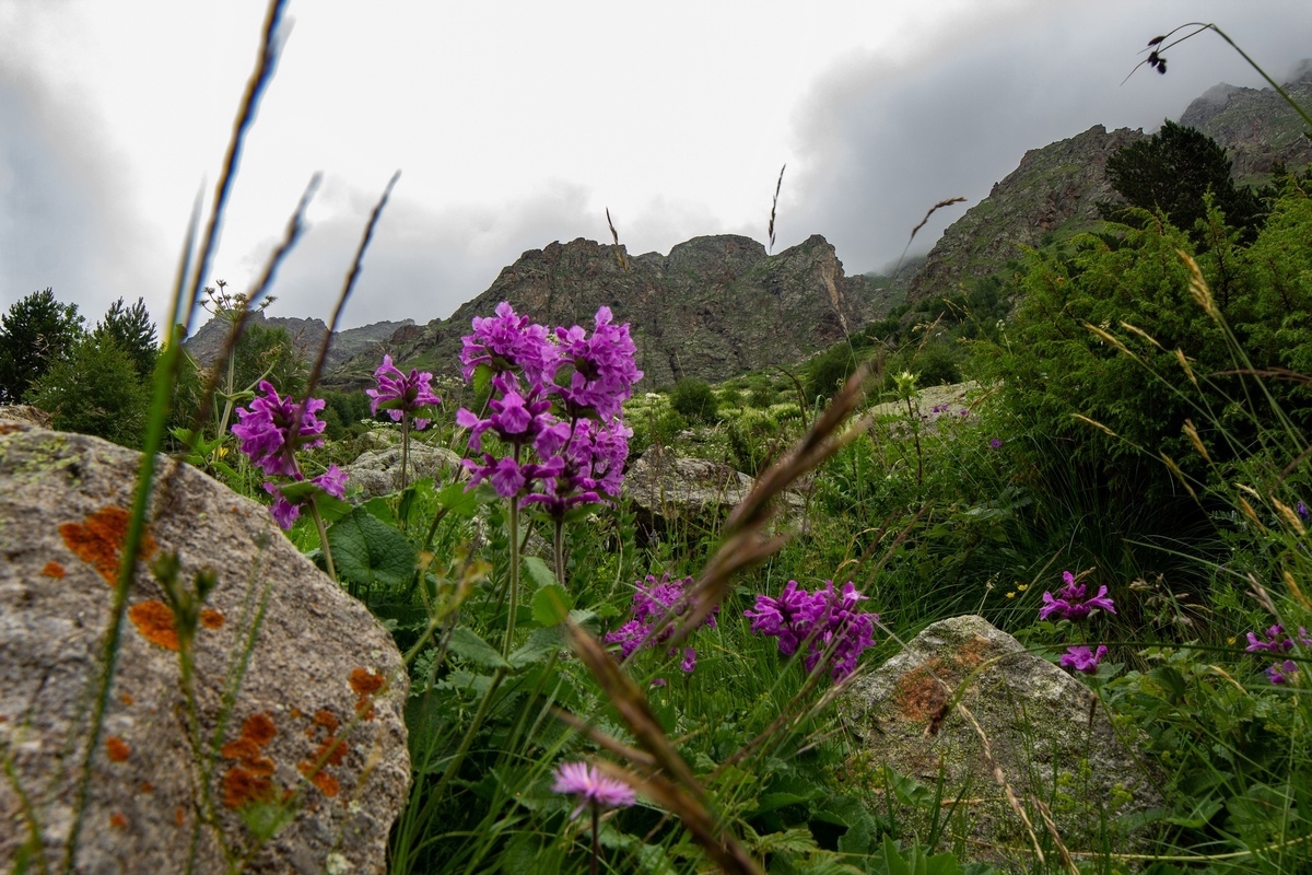 Just a photo from a two-day trip to Ullu-Tau with trekking along the gorges of the Adyr-Su and Kullumkol-Su rivers to the Living Lake - My, The photo, The mountains, Caucasus, Ullu-Tau, Adyr-Su Gorge, Hike, Travels, Travel across Russia, Longpost