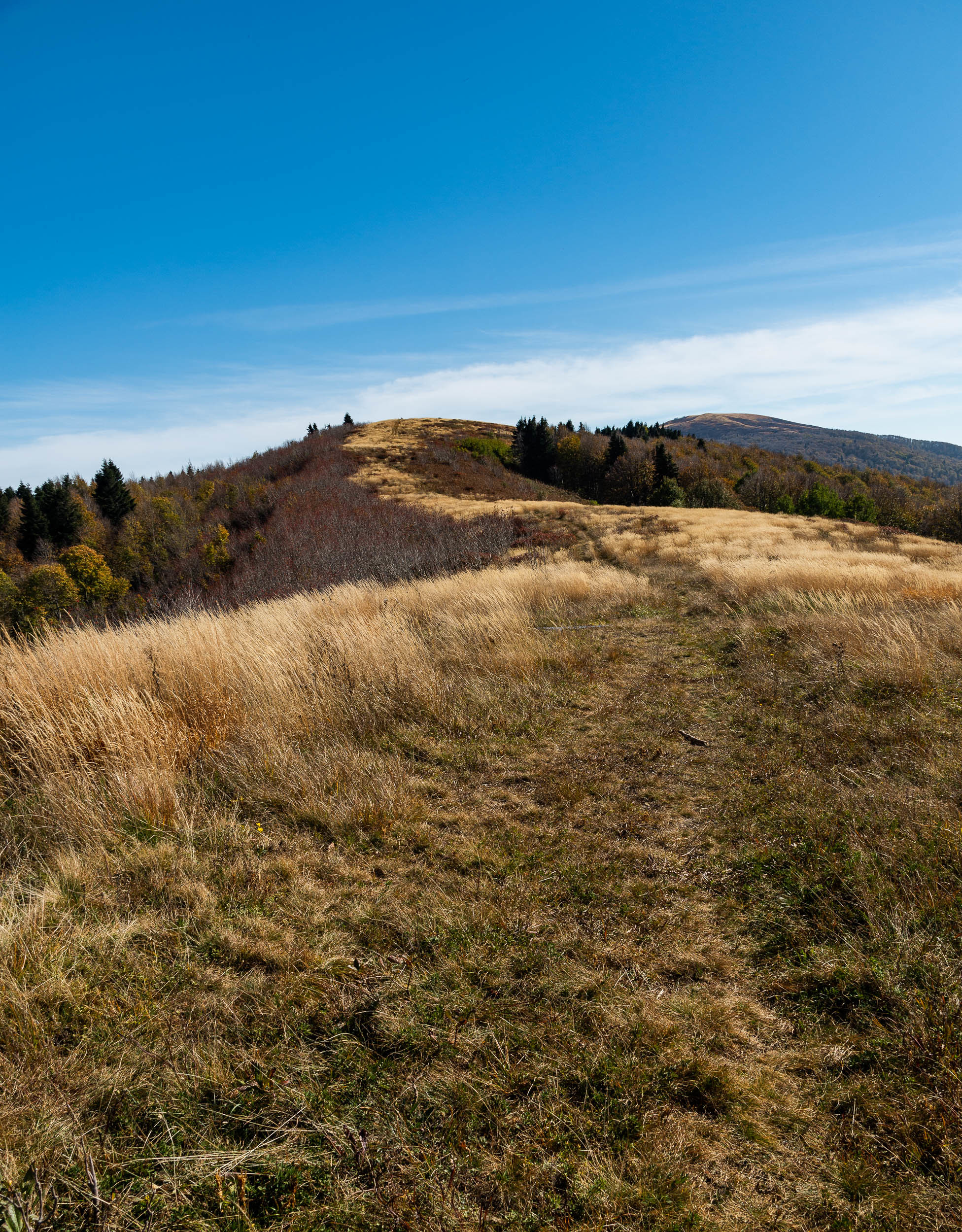 [October 2020] Semiglavaya - My, The mountains, Mountain tourism, Caucasus, The photo, Beginning photographer, Landscape, Nature, Longpost