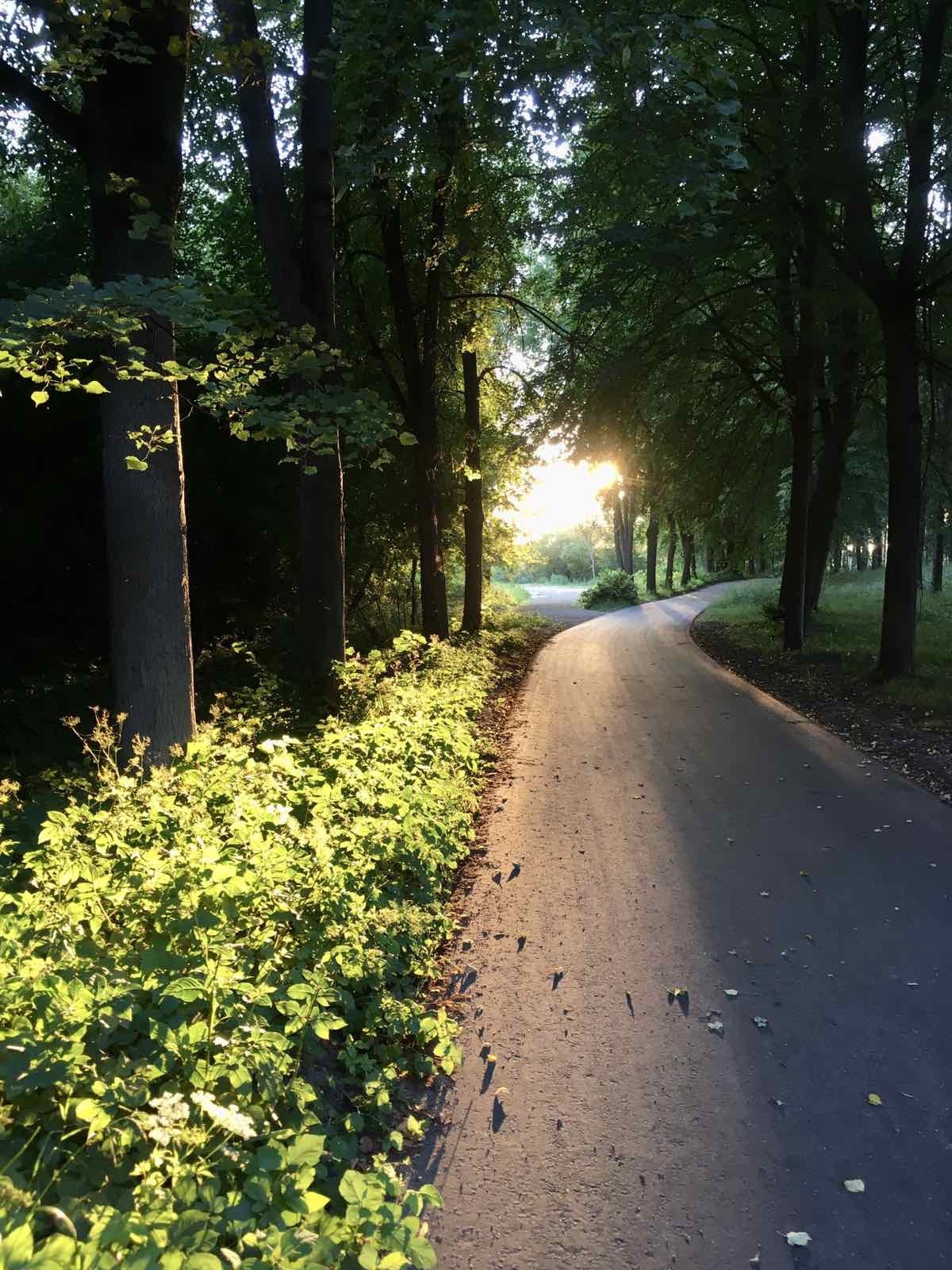 Caught the moment - My, Atmosphere, Sunset, Light, Shadow, The photo, The sun, Greenery