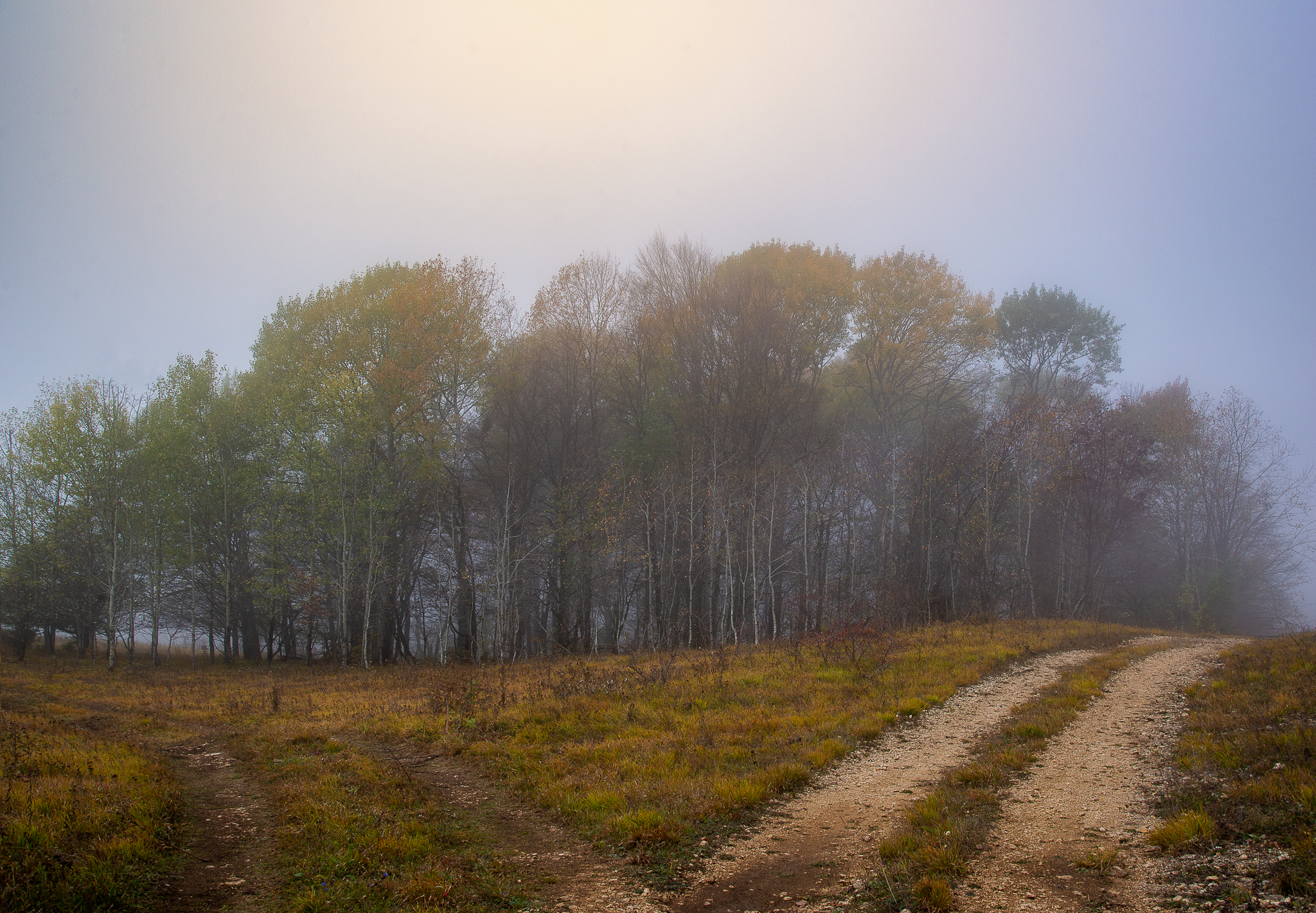 [November 2020] Mezmay - My, The mountains, Mountain tourism, Caucasus, The photo, Beginning photographer, Landscape, Nature, Fog, , Forest, Longpost